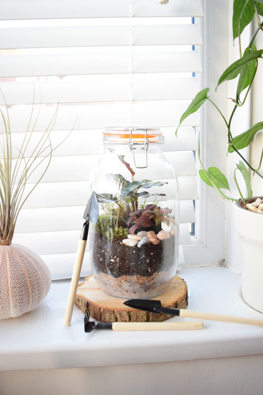 How to Style a Room with Plants: Infusing Interior Design Styles with Green Delights