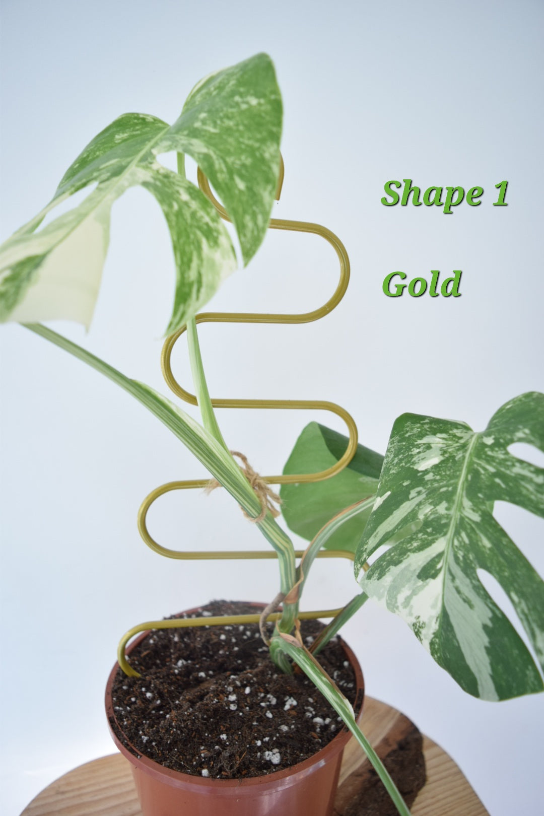 Metal Plant Support for Monstera Devils Ivy Pothos Philodendron - Mini Plant Pole - Indoor Plant - Climbing Plant Pole - Plant Gift Decor