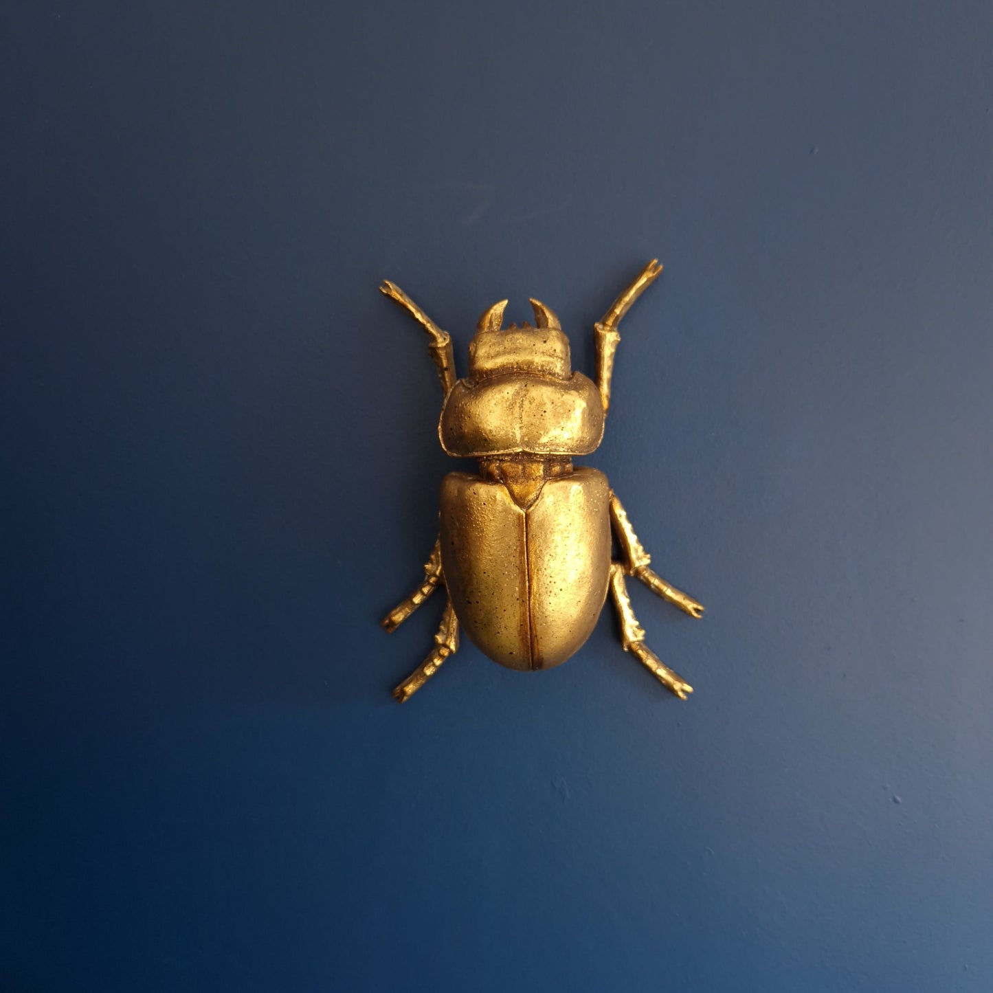 Gold Wall Beetles: Resin Wall Decor - Stag Beetle - Female Stag & Scarab Beetle Art for Home Decor