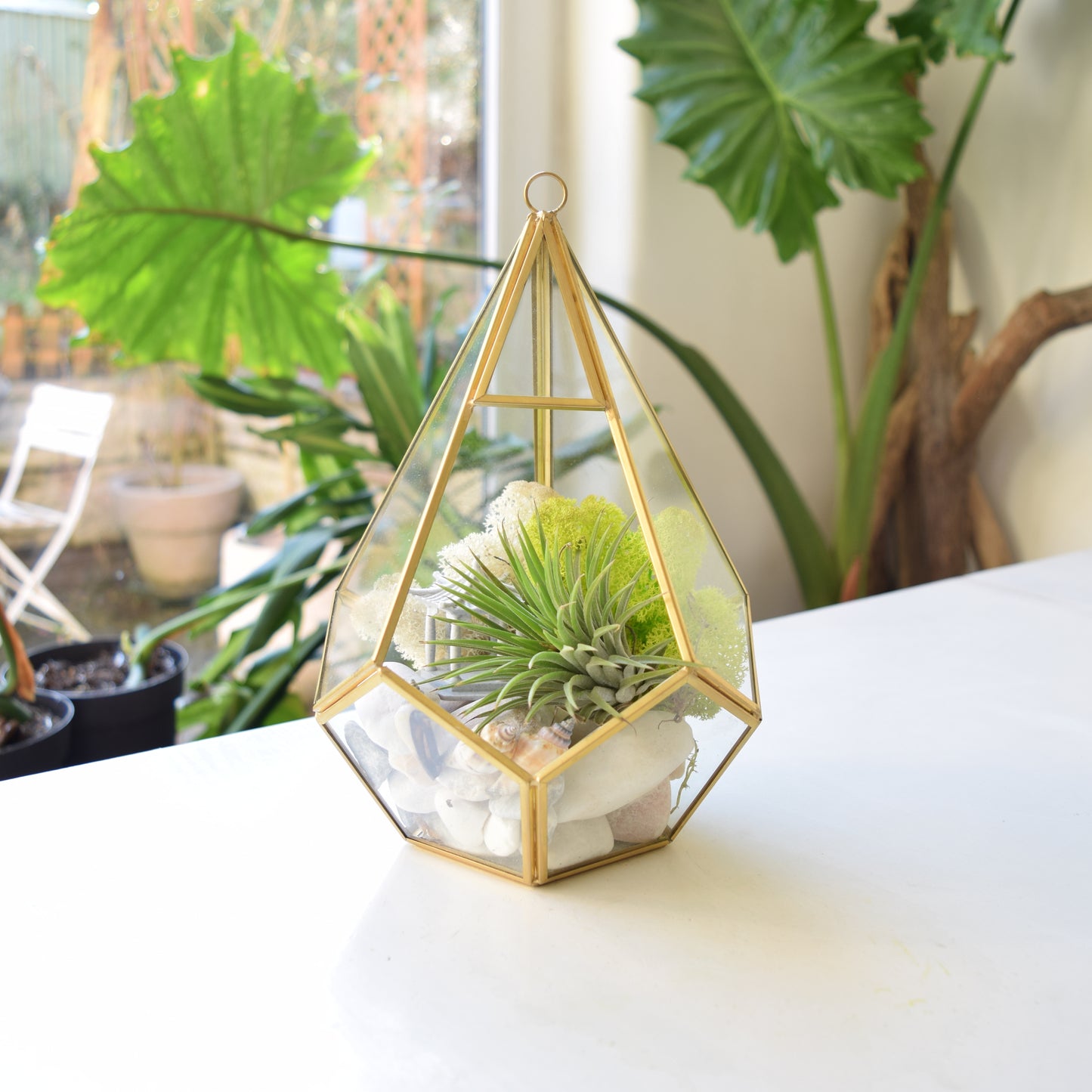 Terrarium Kit - Air Plants - Air Plant Display Holder - DIY Terrarium - Mother's Day Gift