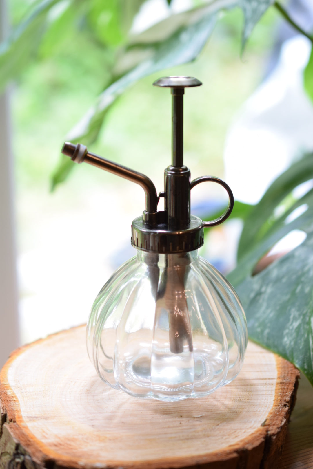 Clear Glass Mister for Plants