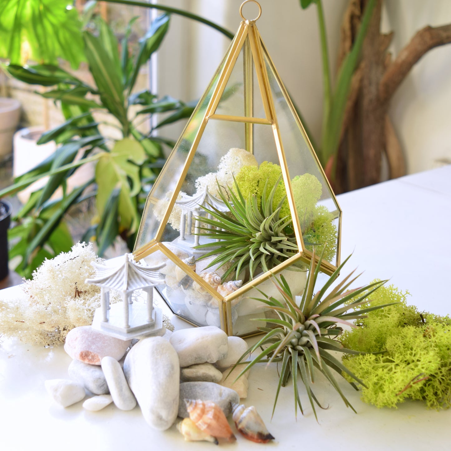 Terrarium Kit - Air Plants - Air Plant Display Holder - DIY Terrarium - Mother's Day Gift
