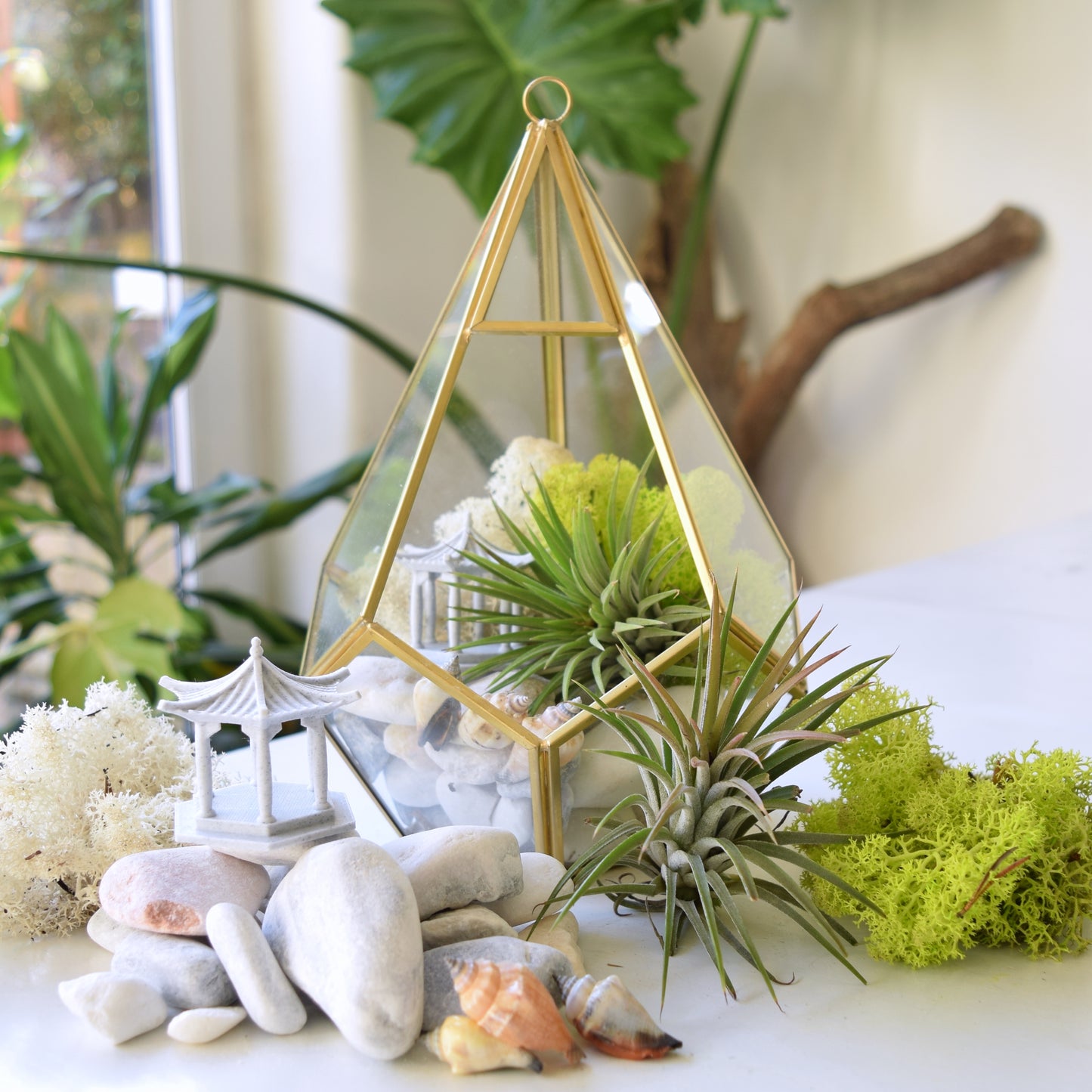 Terrarium Kit - Air Plants - Air Plant Display Holder - DIY Terrarium - Mother's Day Gift