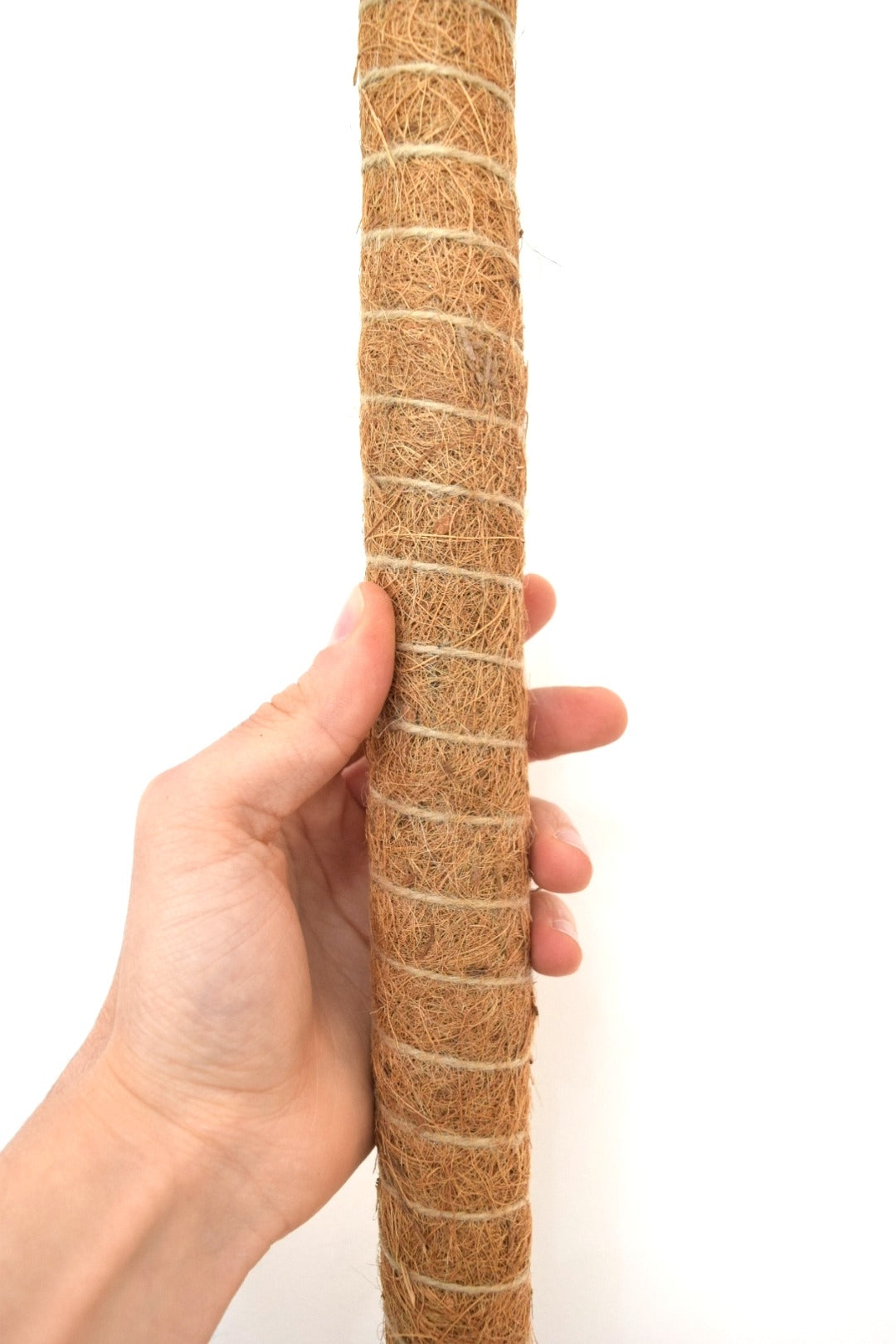 80cm Slim Moss Pole - Climbing Plant Support