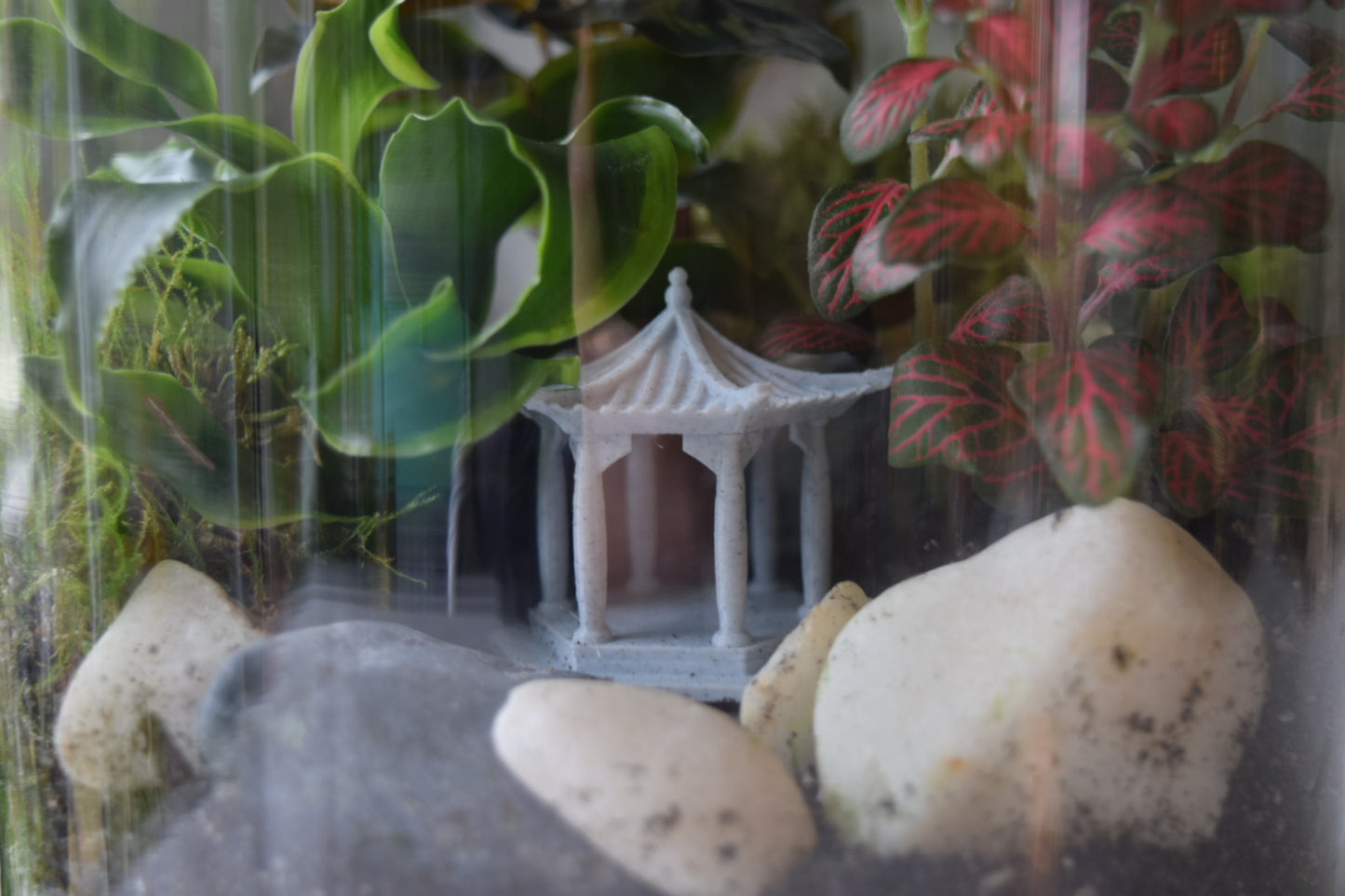 DIY Terrarium Kit with 3 Plants - Closed Terrarium - Everything needed for a terrarium project