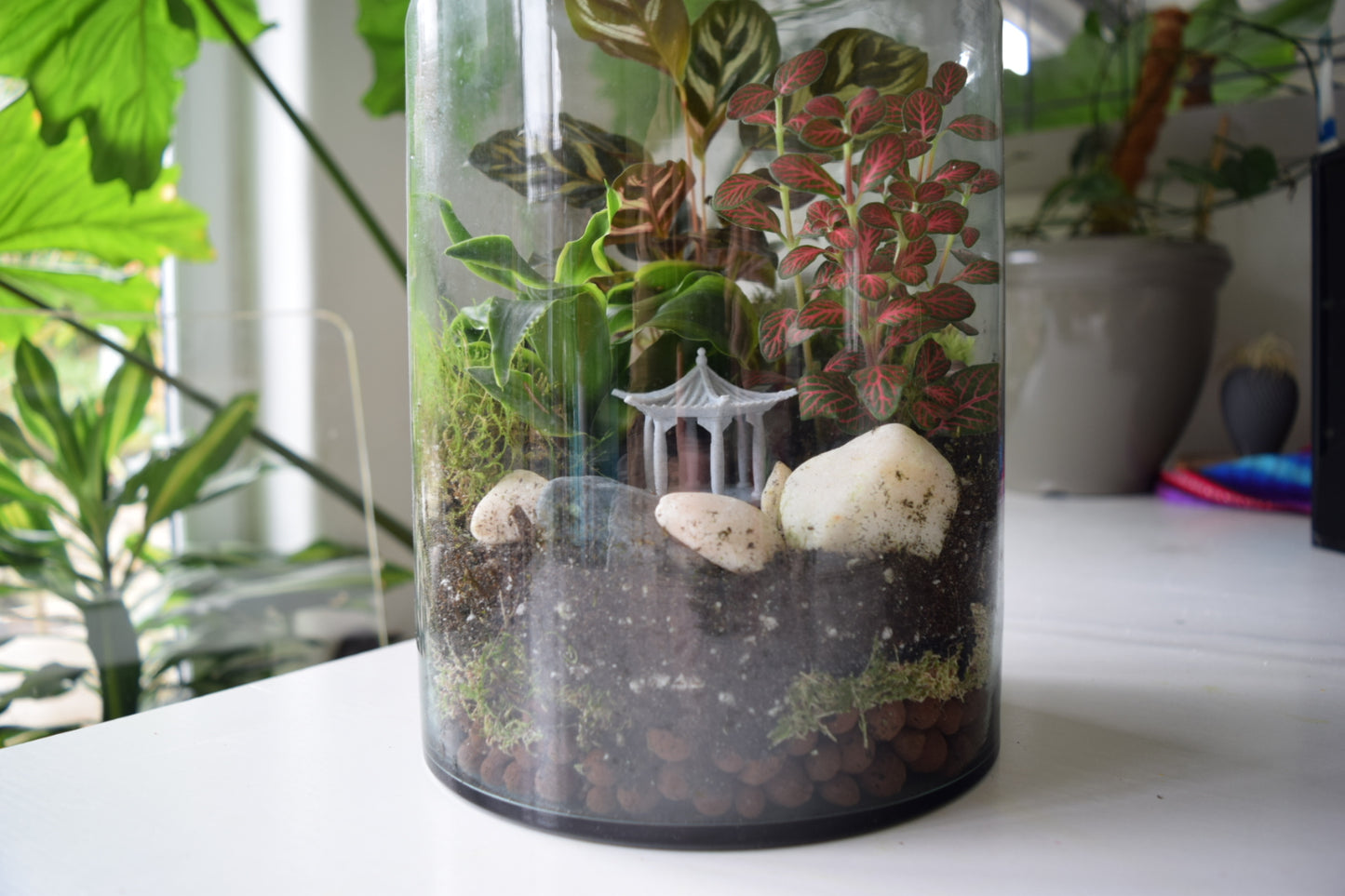 DIY Terrarium Kit with 3 Plants - Closed Terrarium - Everything needed for a terrarium project