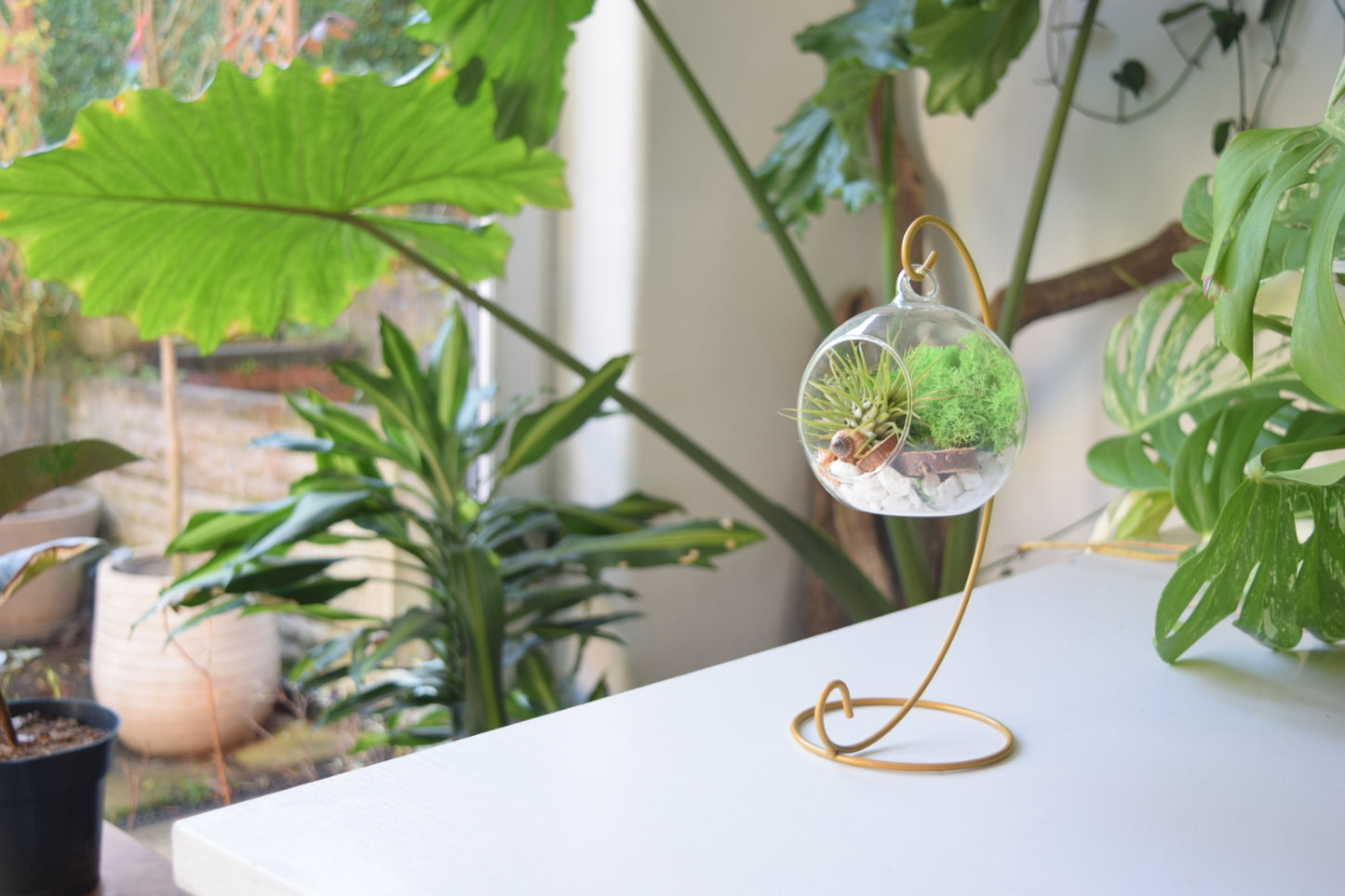 DIY Terrarium Air Plant Kit - Green Moss - Gold Plant Stand