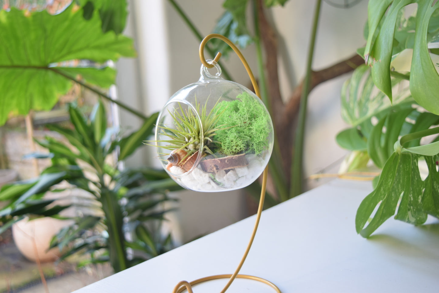 DIY Terrarium Air Plant Kit - Green Moss - Gold Plant Stand