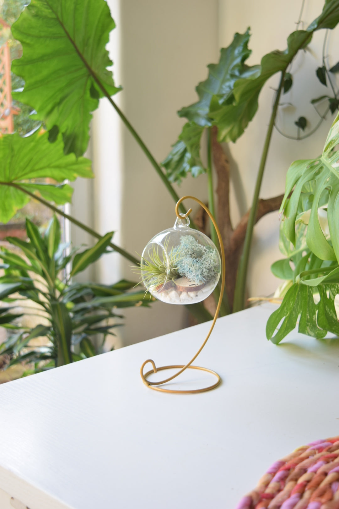 DIY Terrarium Air Plant Kit - Light Blue Moss - Gold Plant Stand