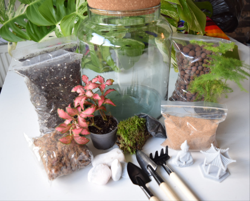 Zen Garden Terrarium Kit with Plants - Plant gift - Closed Terrarium - Glass Terrarium Biodome - DIY terrarium kit - Japanese Garden