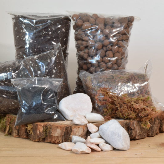 Terrarium Kit Without Plants - Plant Gift - Moss Terranium - Birthday gift - Closed Terrarium - Glass Terrarium Biodome- DIY terrarium kit
