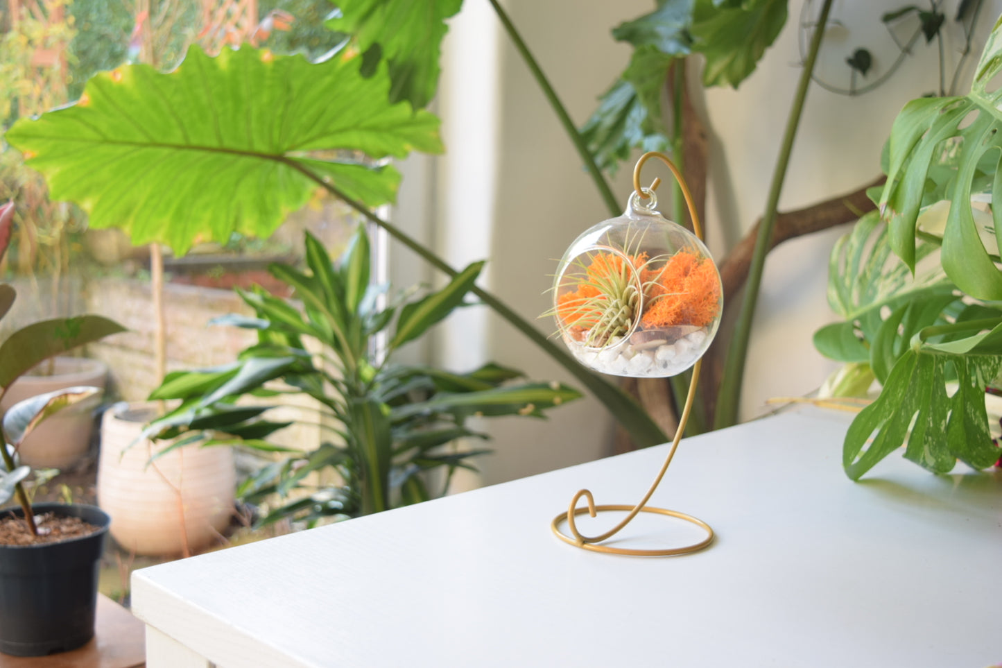 DIY Terrarium Air Plant Kit - Orange Moss - Gold Plant Stand