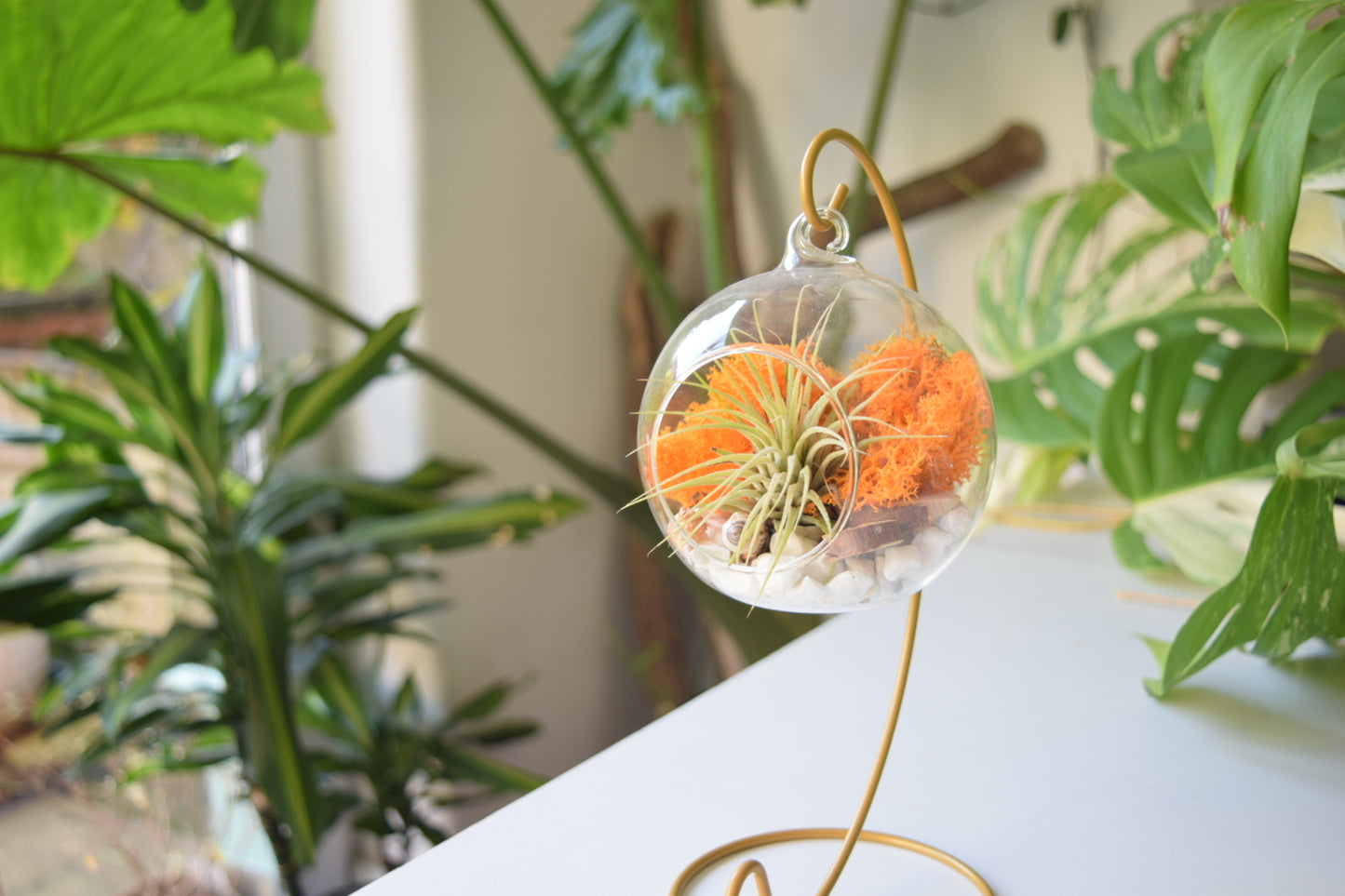 DIY Terrarium Air Plant Kit - Orange Moss - Gold Plant Stand