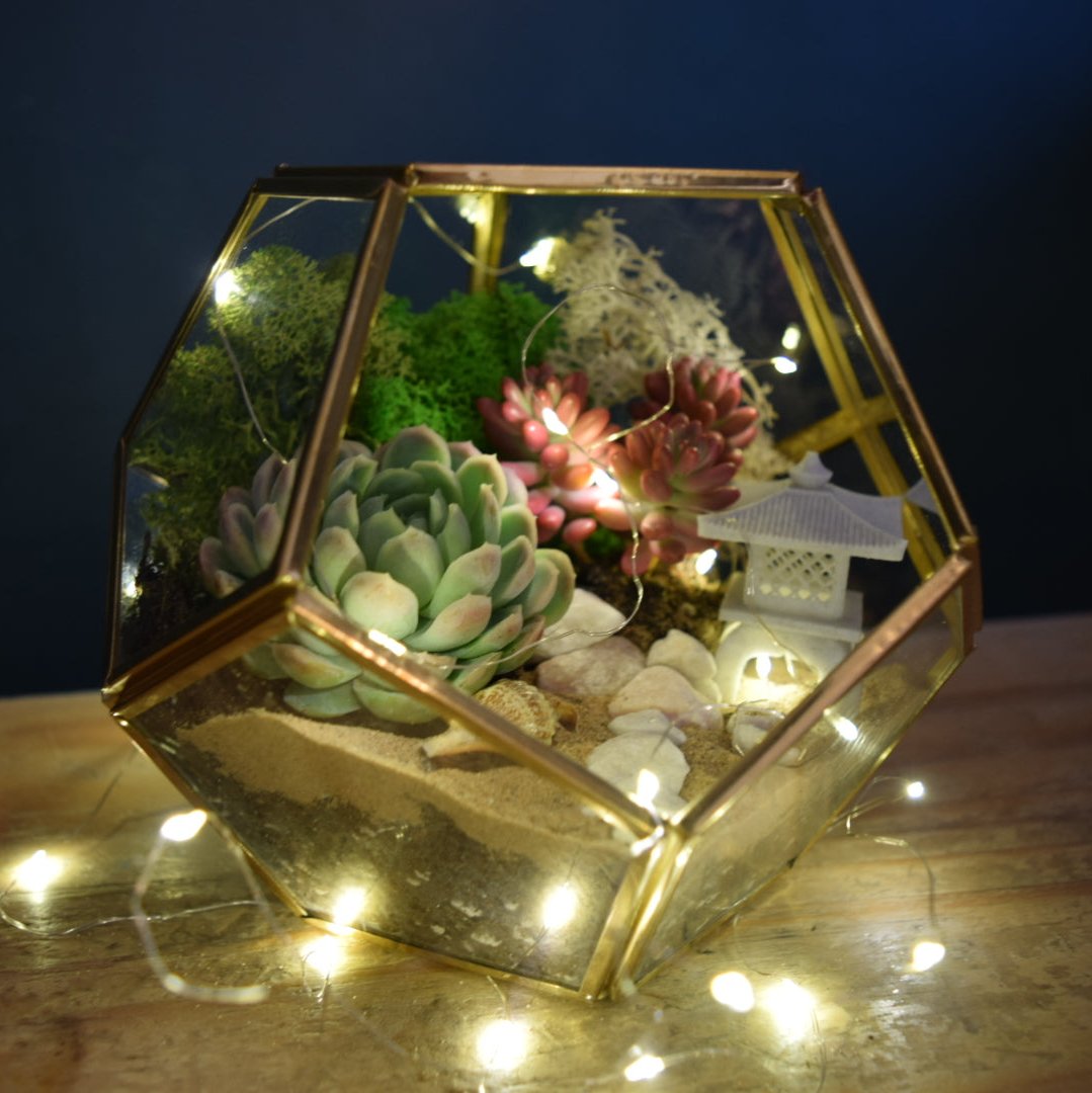DIY terrarium kit with succulents. Gold lantern. Japanese lantern. LED lights