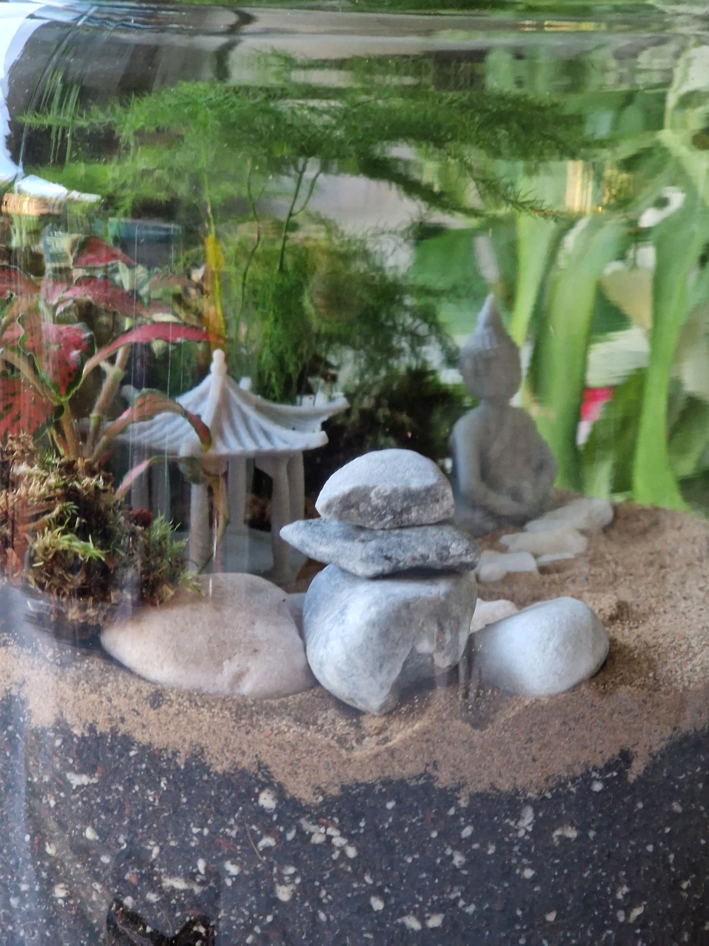 Zen Garden Terrarium Kit with Plants - Plant gift - Closed Terrarium - Glass Terrarium Biodome - DIY terrarium kit - Japanese Garden
