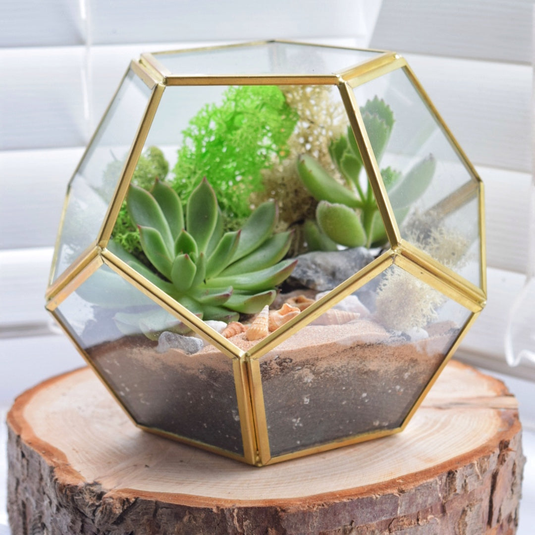 Gold Geometric Succulent Terrarium Kit | Plant Gift