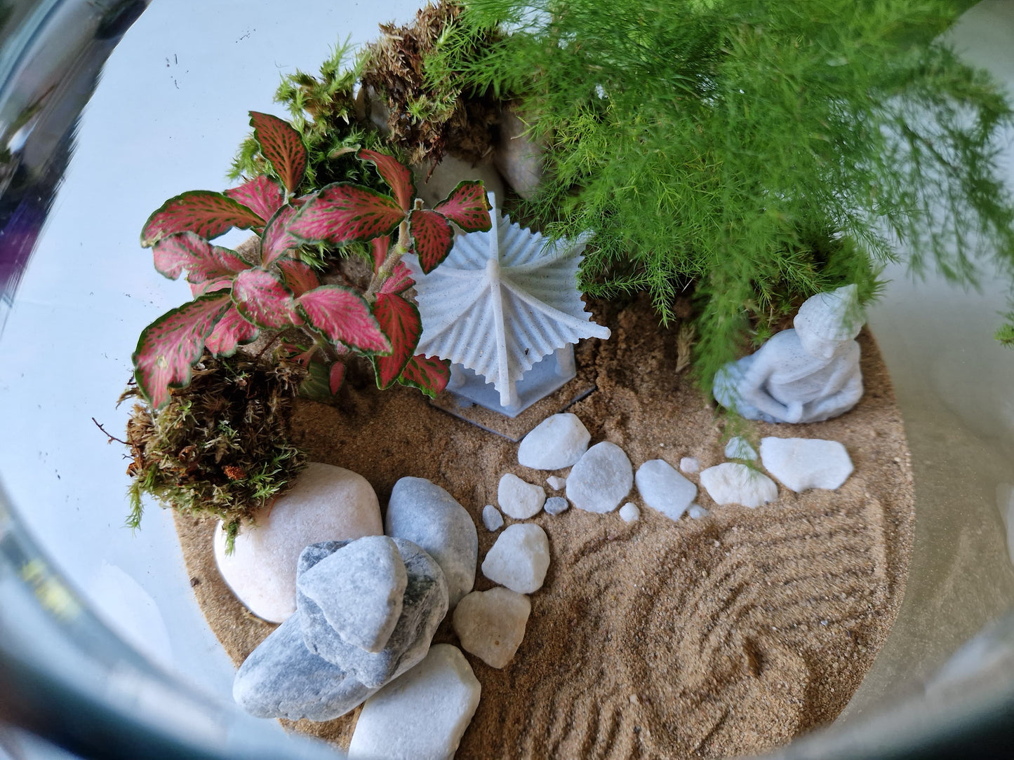 Zen Garden Terrarium Kit with Plants - Plant gift - Closed Terrarium - Glass Terrarium Biodome - DIY terrarium kit - Japanese Garden