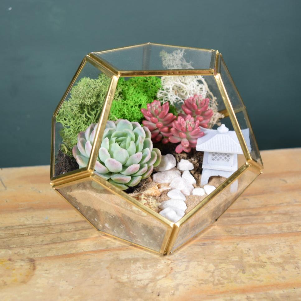 DIY terrarium kit with succulents. Gold lantern. Japanese lantern