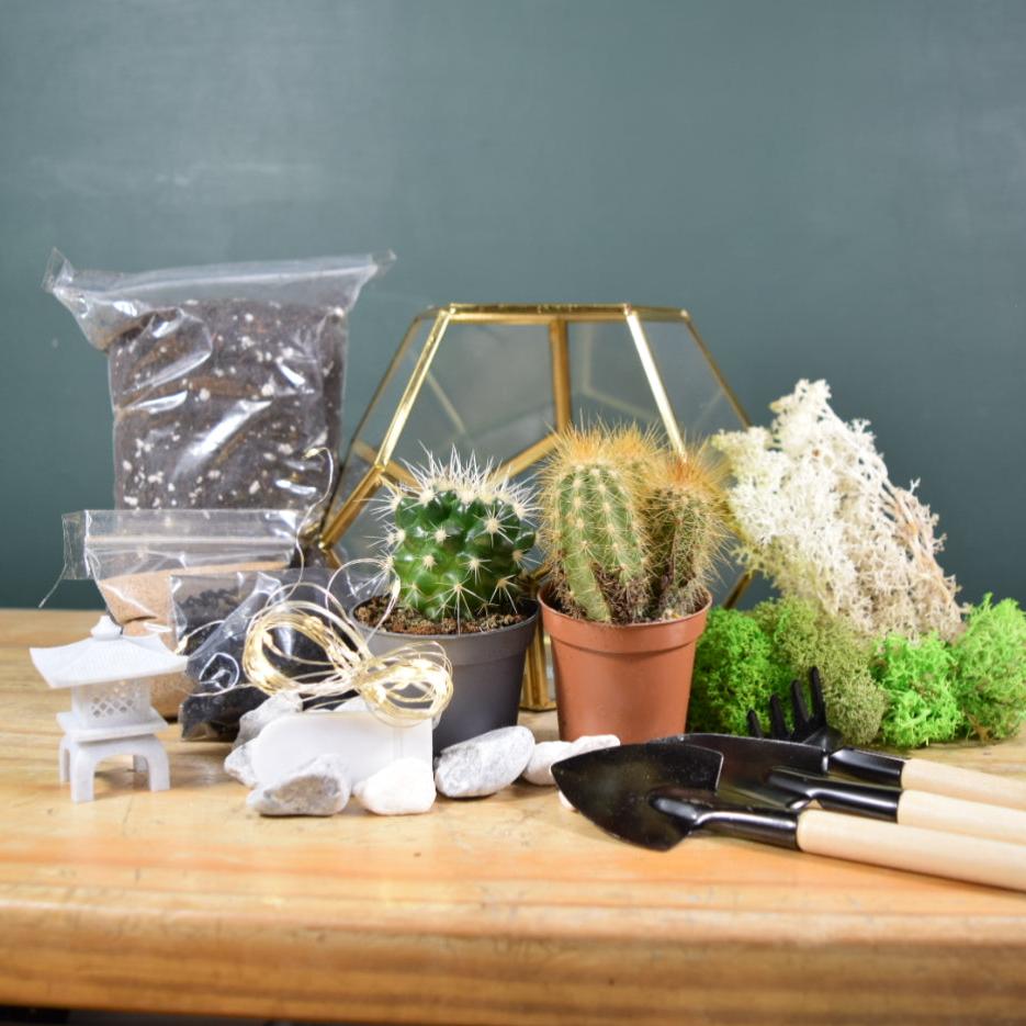 Gold Geometric Terrarium Kit with Succulent or Cactus | Mother's Day Plant Gift