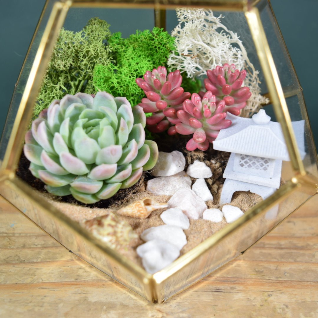 DIY terrarium kit with succulents. Gold lantern. Japanese lantern