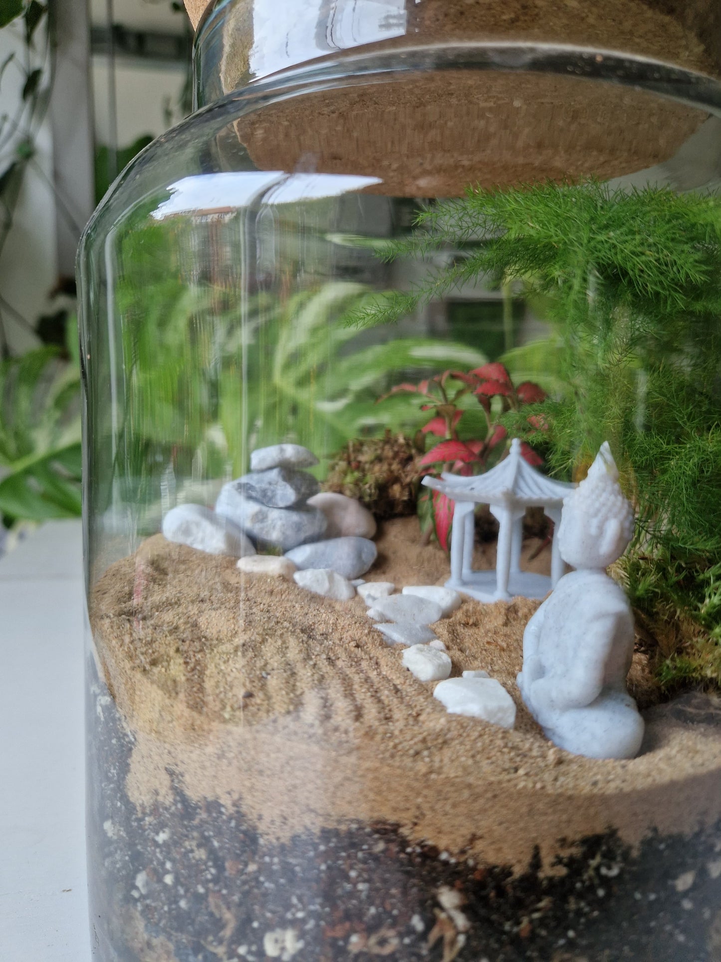 Zen Garden Terrarium Kit with Plants - Plant gift - Closed Terrarium - Glass Terrarium Biodome - DIY terrarium kit - Japanese Garden