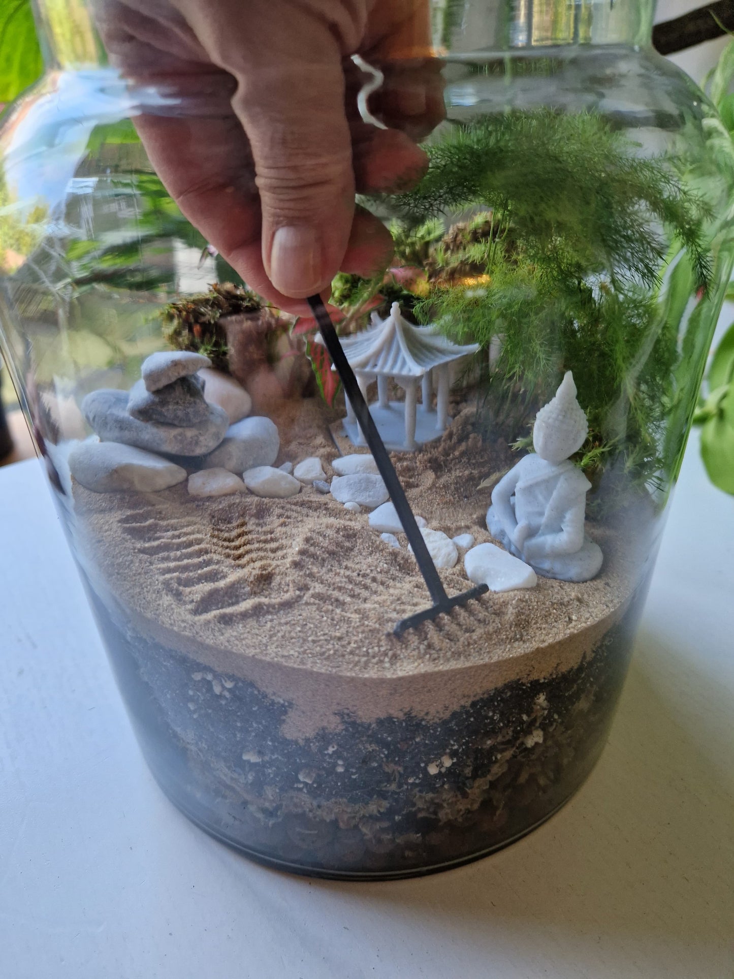 Zen Garden Terrarium Kit with Plants - Plant gift - Closed Terrarium - Glass Terrarium Biodome - DIY terrarium kit - Japanese Garden