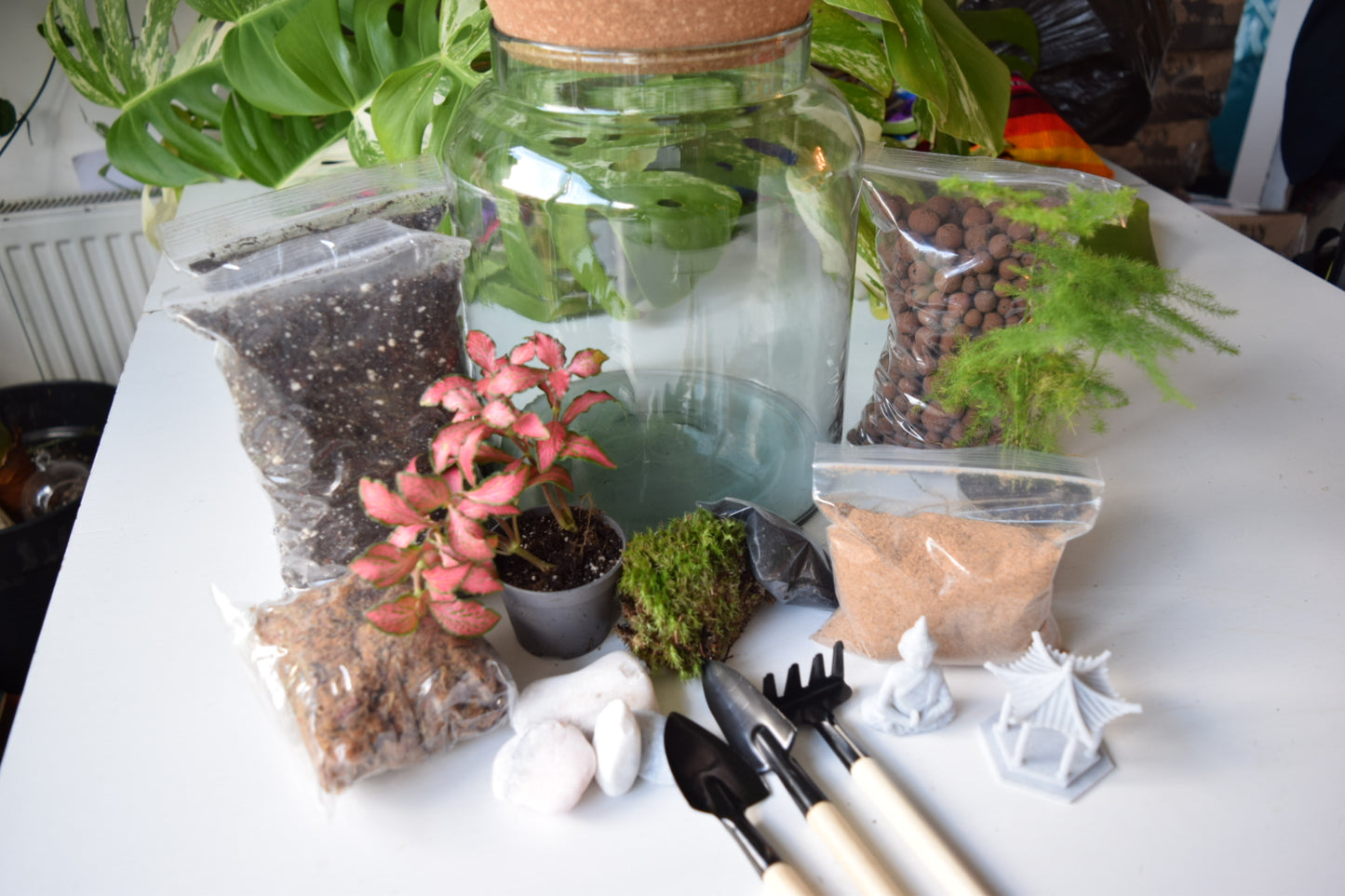 Zen Garden Terrarium Kit with Plants - Plant gift - Closed Terrarium - Glass Terrarium Biodome - DIY terrarium kit - Japanese Garden