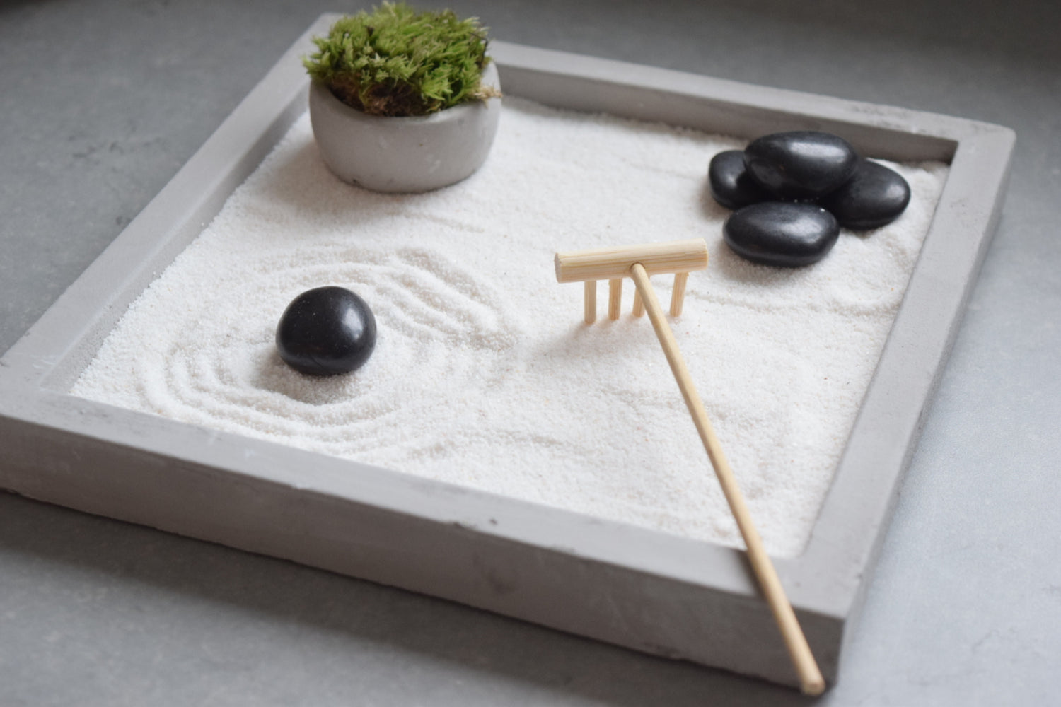 Zen Garden - Office Plant