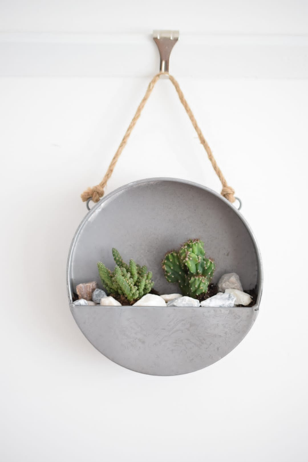 Wall Planter - Hanging Plant