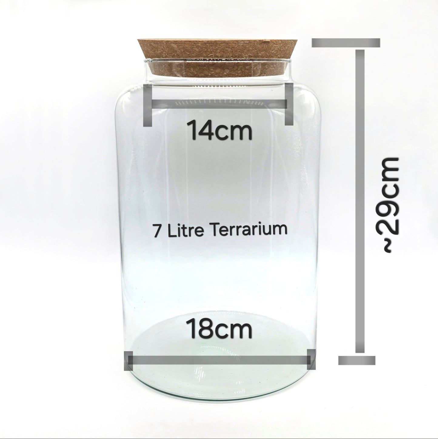 Closed Terrarium Starter Bundle | Large DIY Terrarium Kit + Extra Base Kit