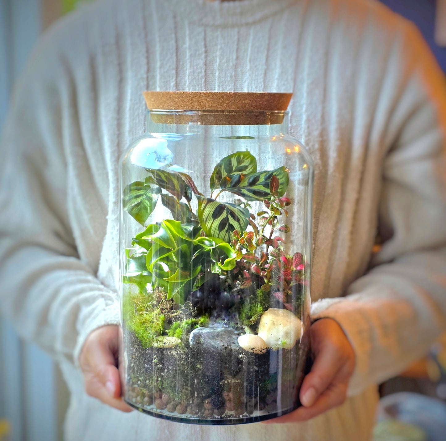 Closed Terrarium Starter Bundle | Large DIY Terrarium Kit + Extra Base Kit