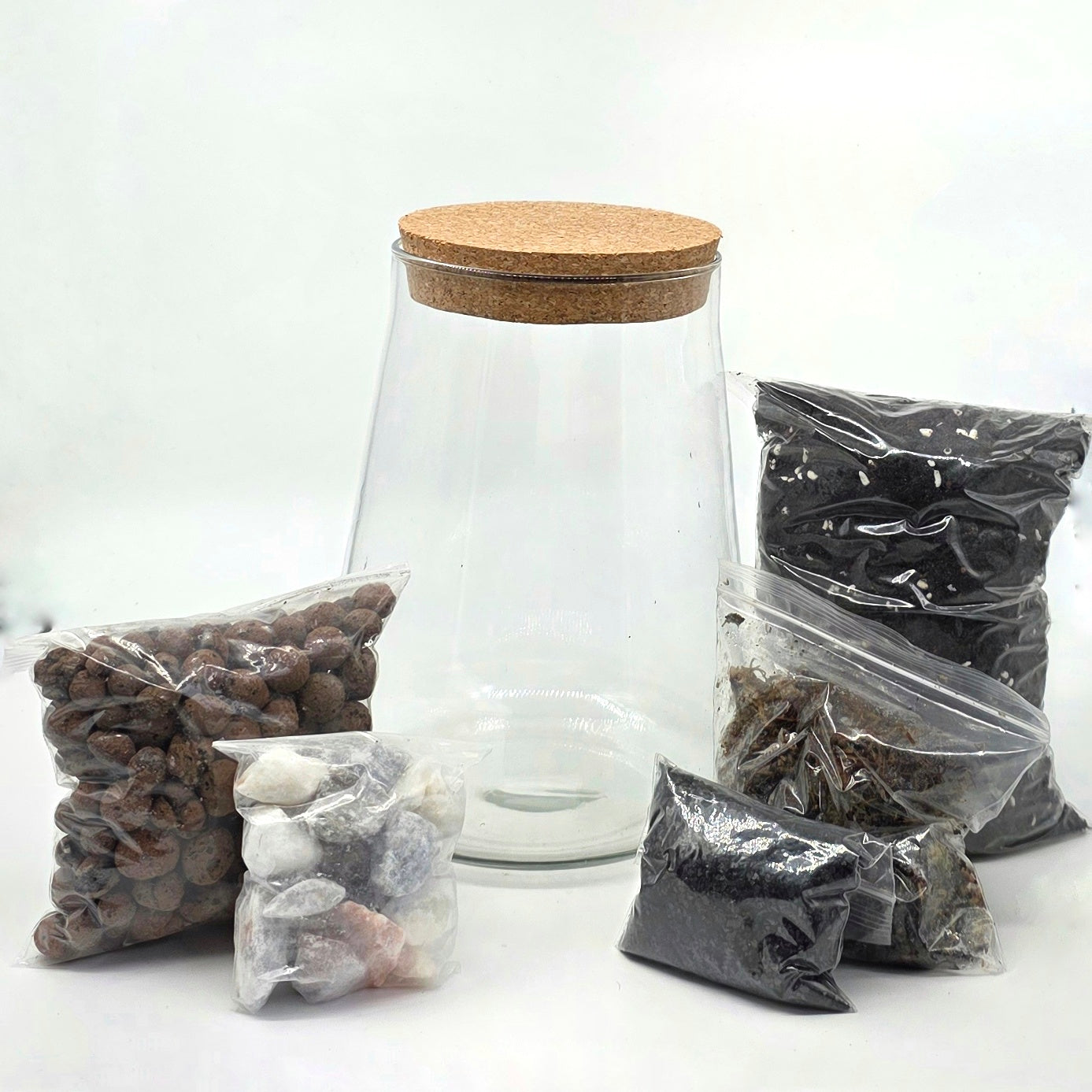 DIY Terrarium Kit with 2 Plants - Closed Terrarium - Everything needed for a terrarium project
