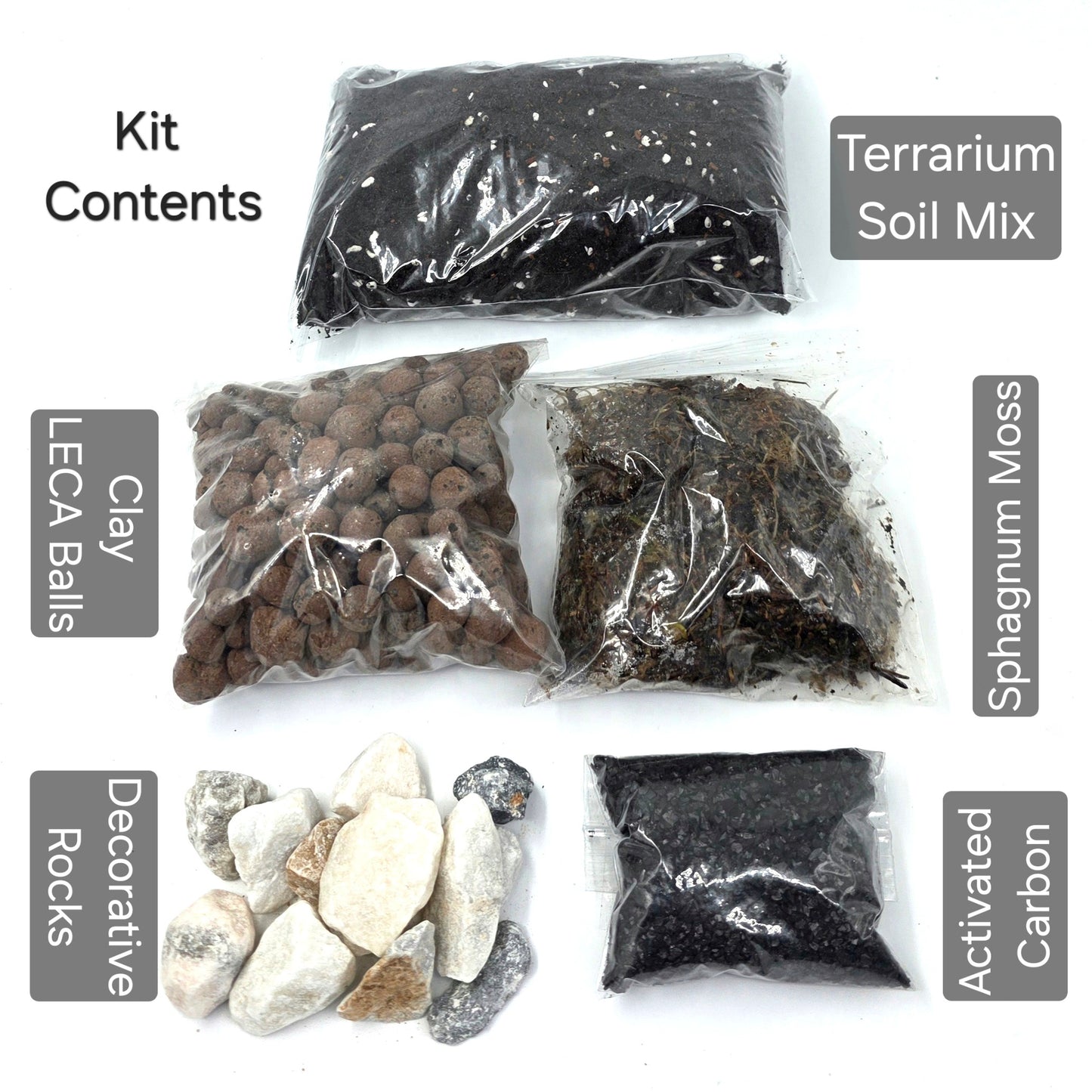 DIY Terrarium Kit with 2 Plants - Closed Terrarium - Everything needed for a terrarium project