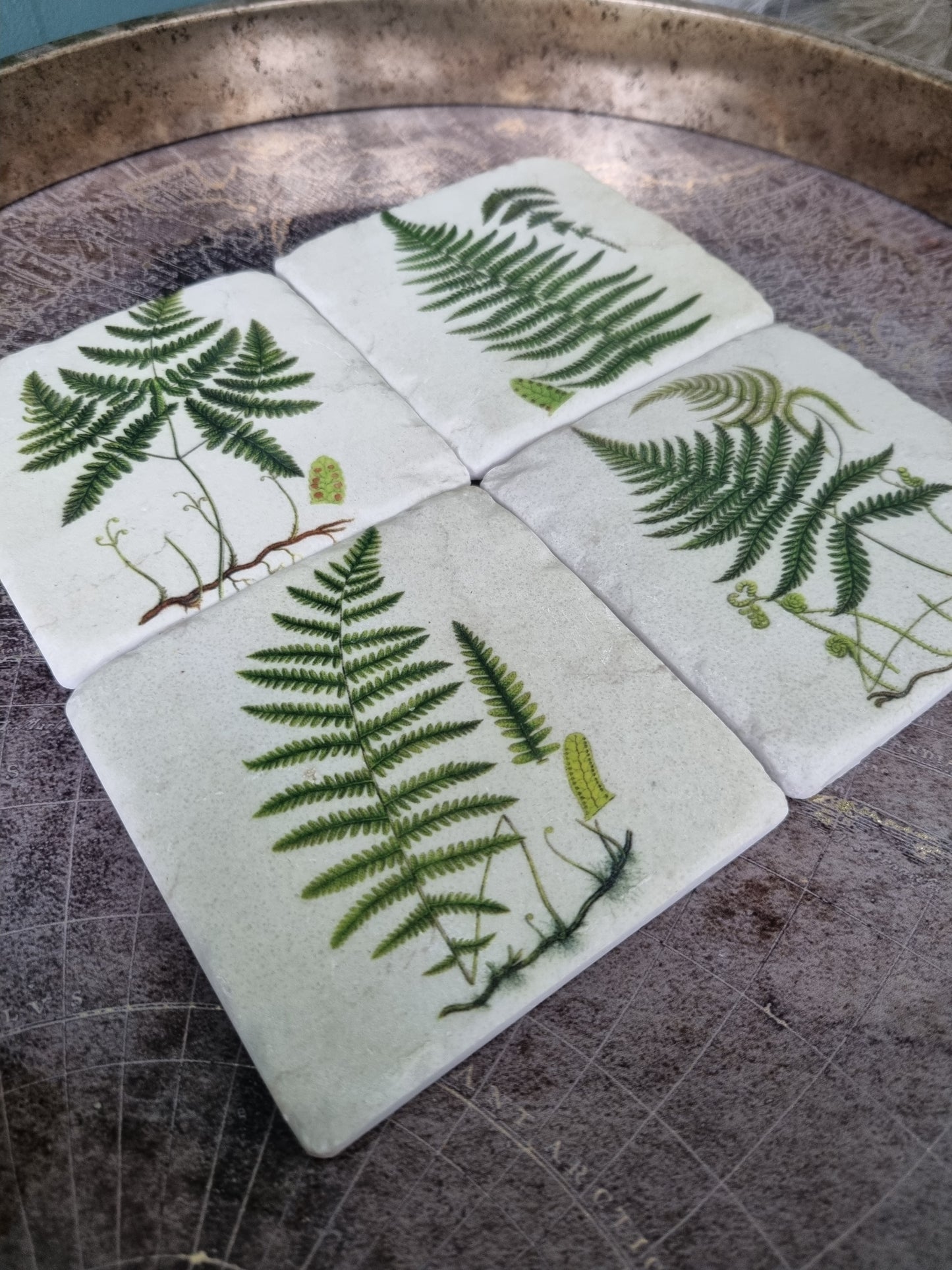 Nature-Inspired Fern Coasters: Set of 4 High Quality Table Protectors - Plant Lover Gift Housewarming Nature Decor - Home Office Desk Decor