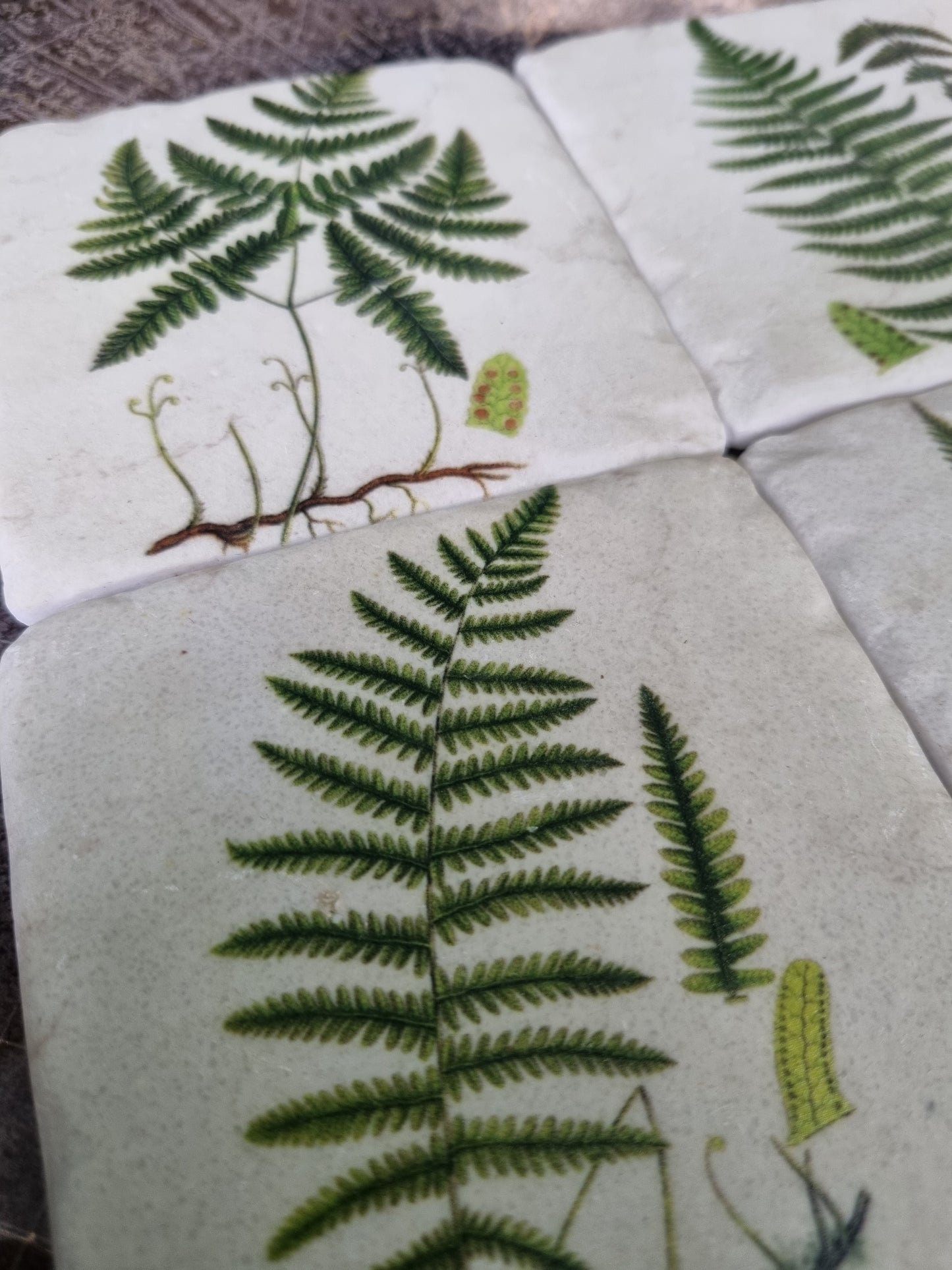 Nature-Inspired Fern Coasters: Set of 4 High Quality Table Protectors - Plant Lover Gift Housewarming Nature Decor - Home Office Desk Decor