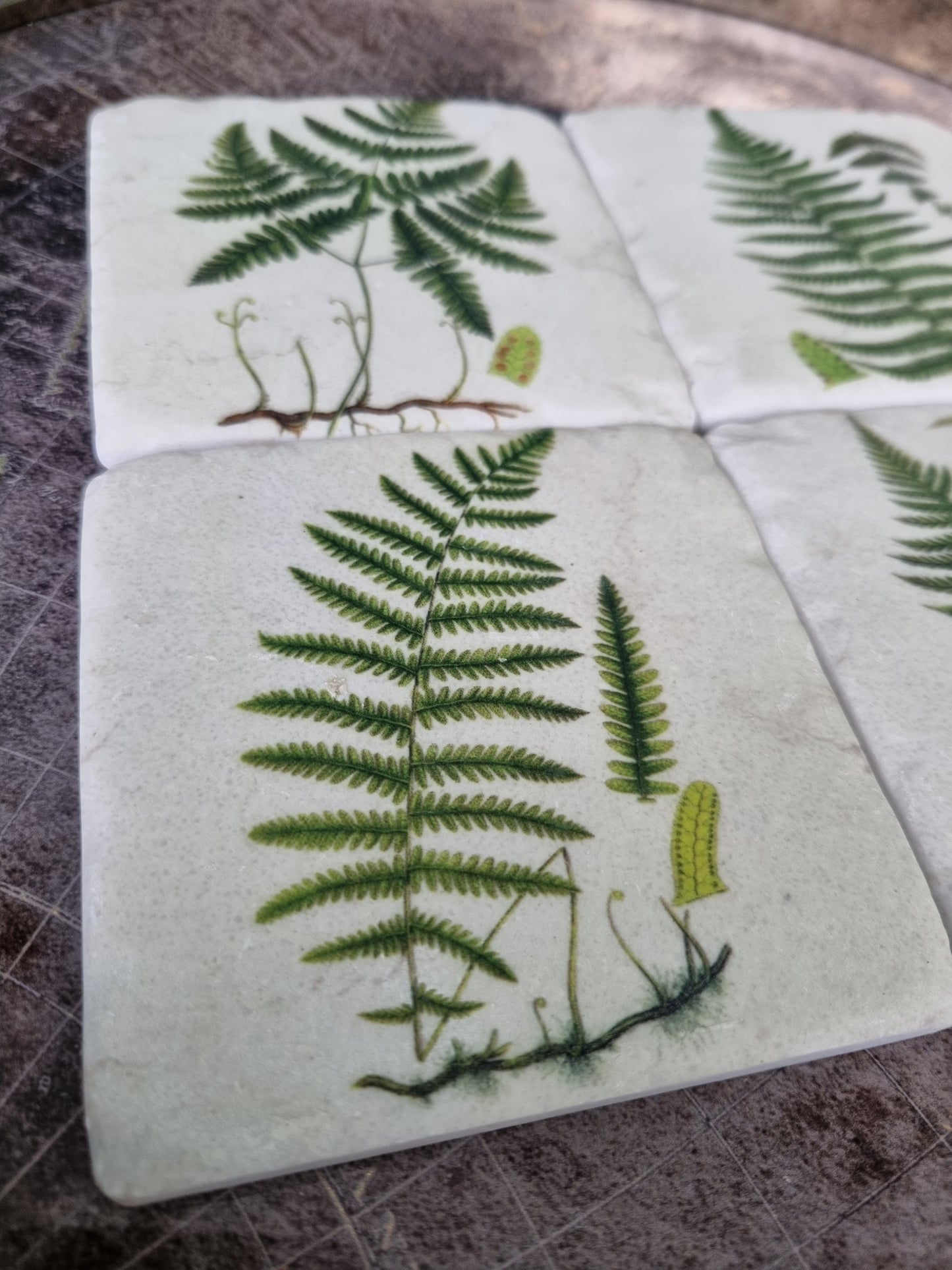 Nature-Inspired Fern Coasters: Set of 4 High Quality Table Protectors - Plant Lover Gift Housewarming Nature Decor - Home Office Desk Decor