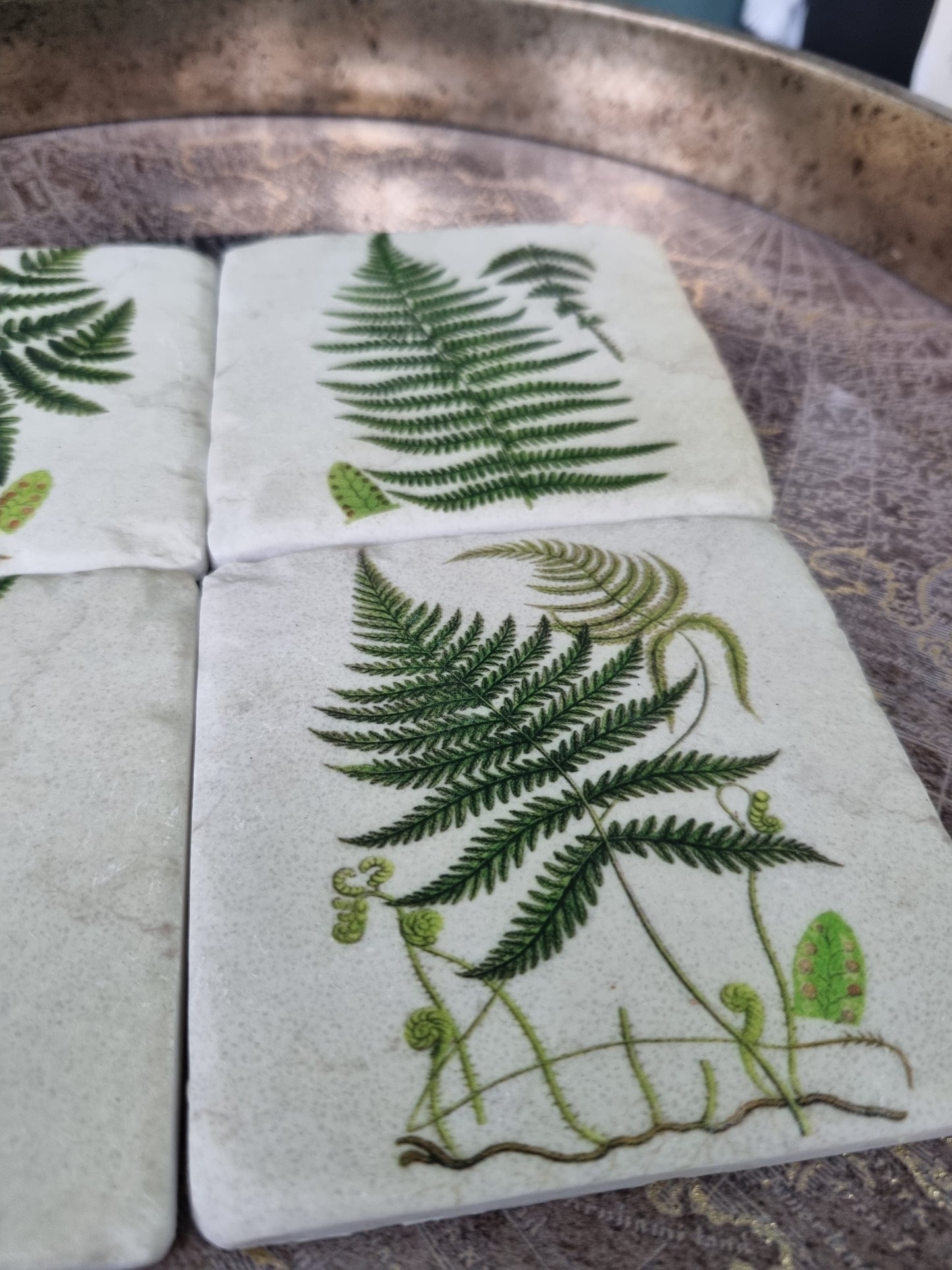 Nature-Inspired Fern Coasters: Set of 4 High Quality Table Protectors - Plant Lover Gift Housewarming Nature Decor - Home Office Desk Decor