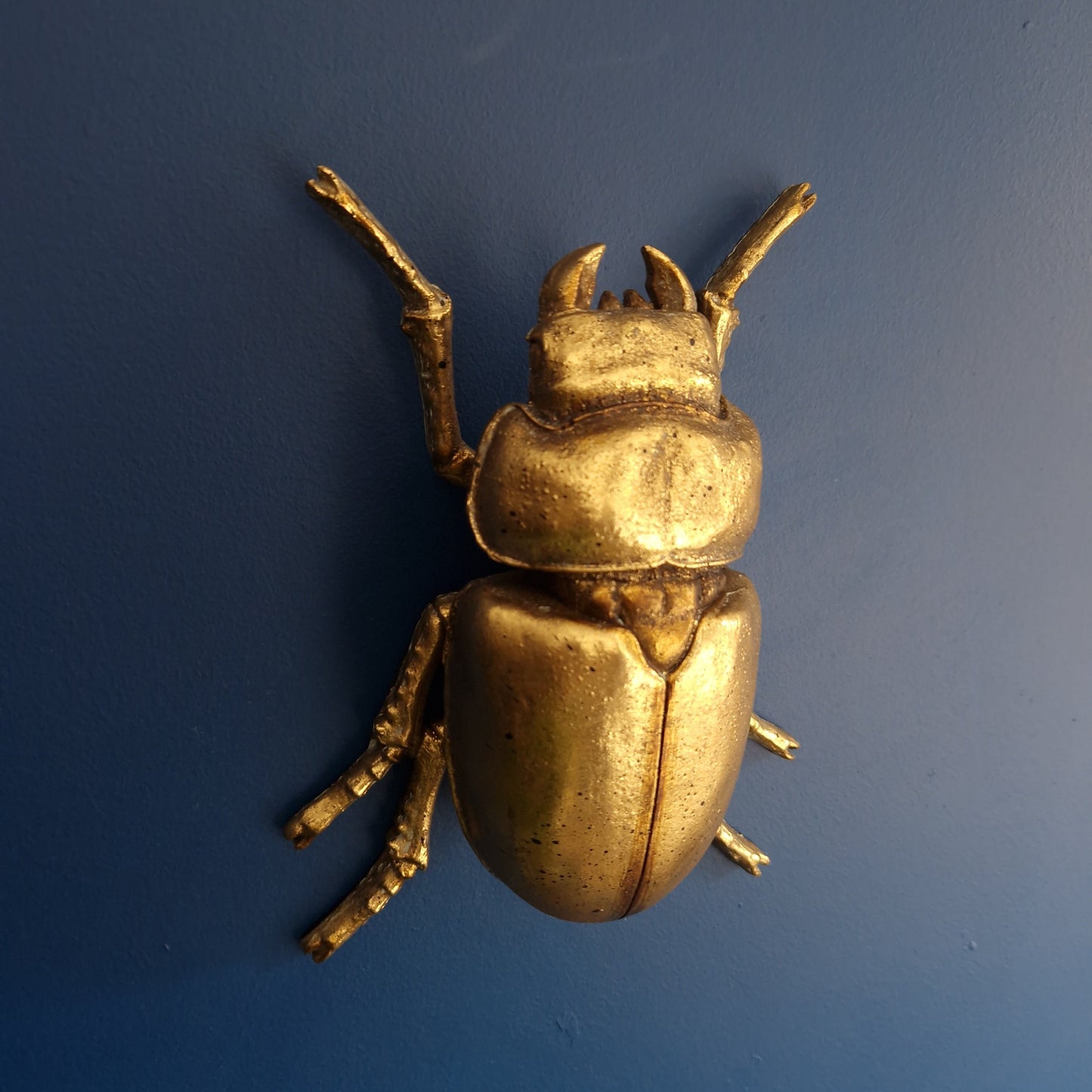 Gold Wall Beetles: Resin Wall Decor - Stag Beetle - Female Stag & Scarab Beetle Art for Home Decor