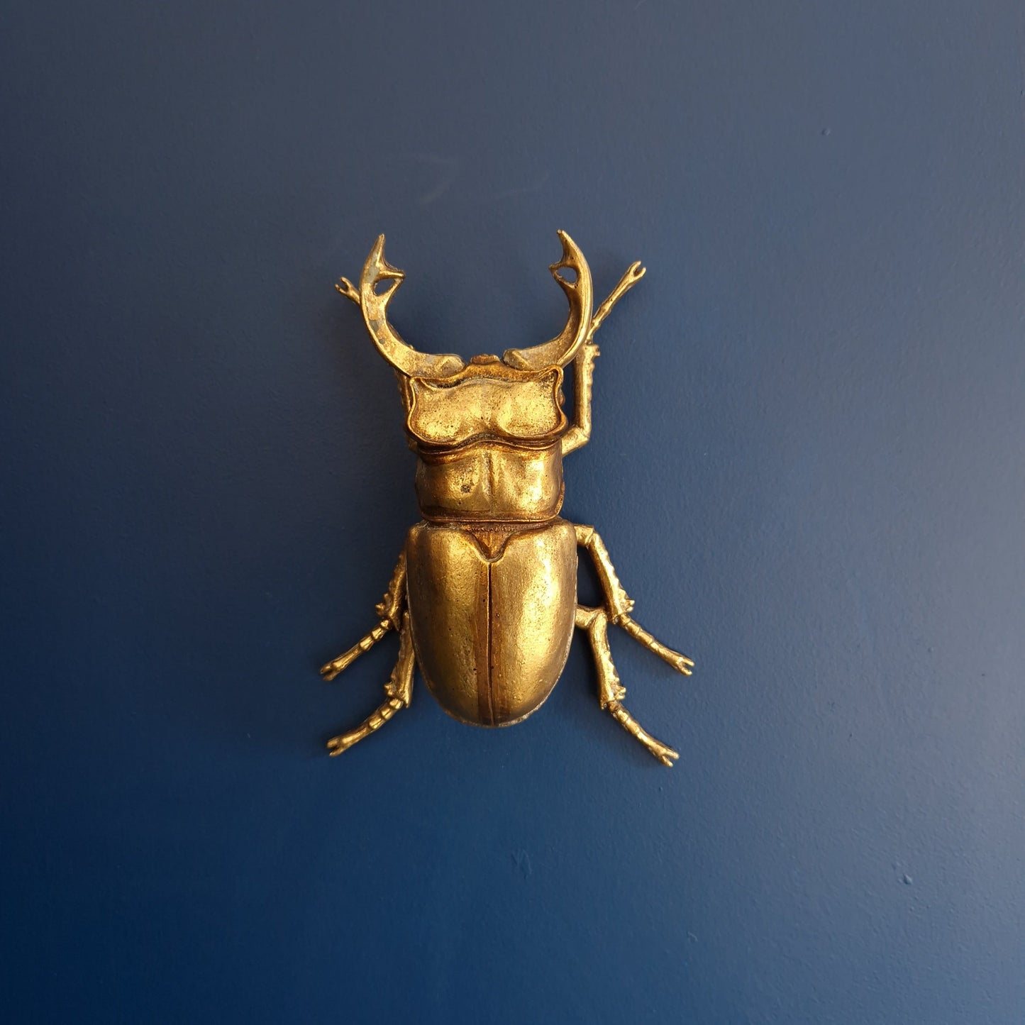 Gold Wall Beetles: Resin Wall Decor - Stag Beetle - Female Stag & Scarab Beetle Art for Home Decor