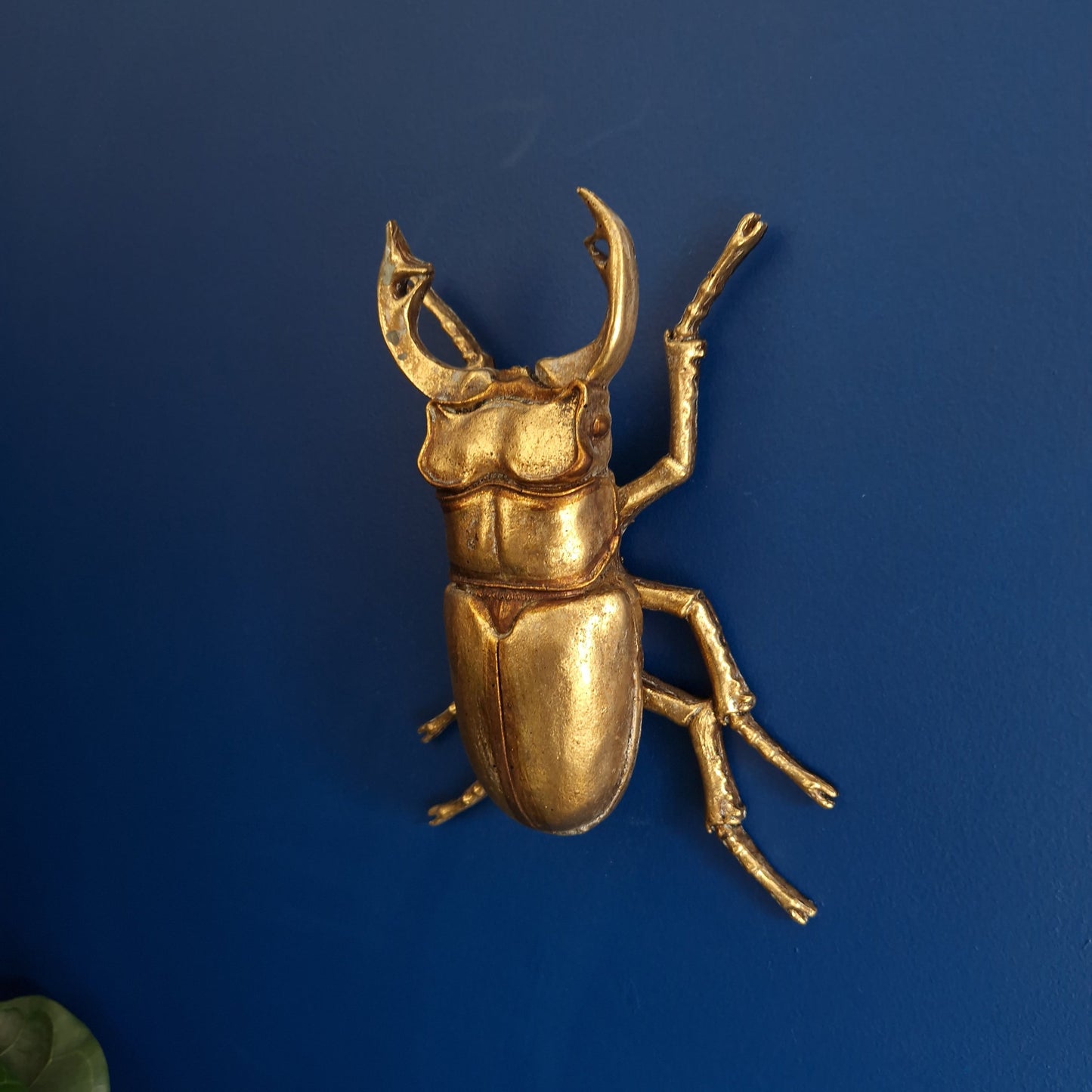 Gold Wall Beetles: Resin Wall Decor - Stag Beetle - Female Stag & Scarab Beetle Art for Home Decor