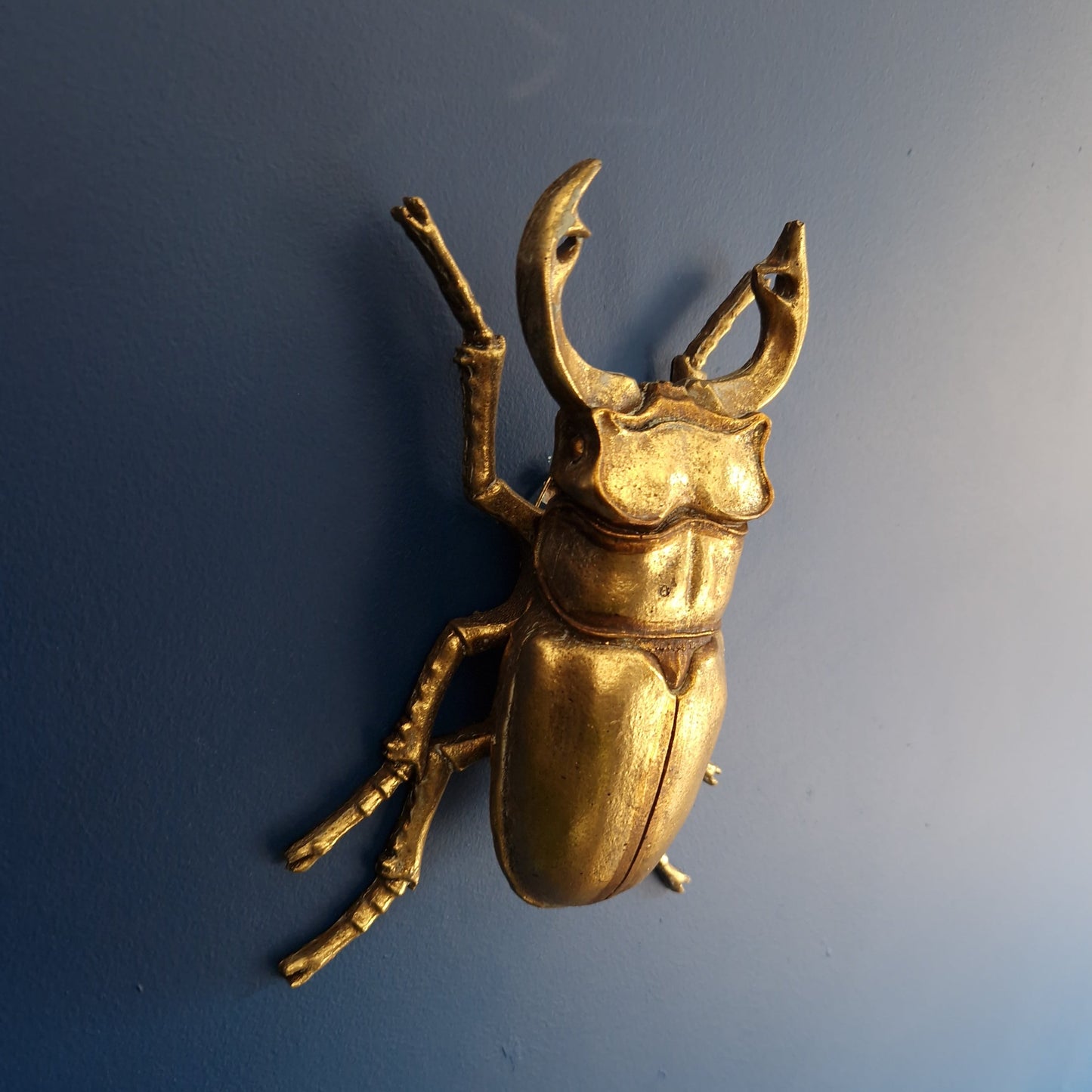 Gold Wall Beetles: Resin Wall Decor - Stag Beetle - Female Stag & Scarab Beetle Art for Home Decor