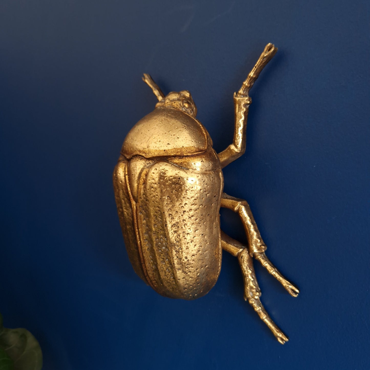 Gold Wall Beetles: Resin Wall Decor - Stag Beetle - Female Stag & Scarab Beetle Art for Home Decor