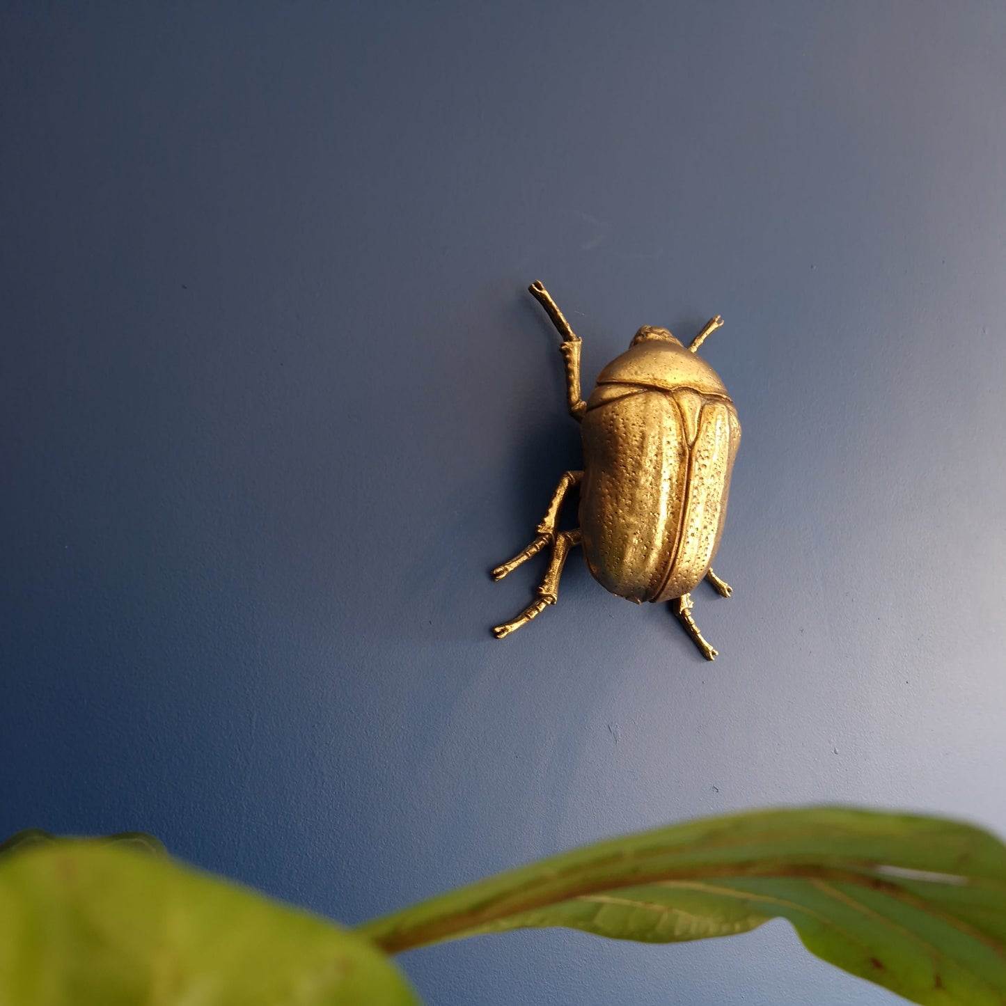 Gold Wall Beetles: Resin Wall Decor - Stag Beetle - Female Stag & Scarab Beetle Art for Home Decor