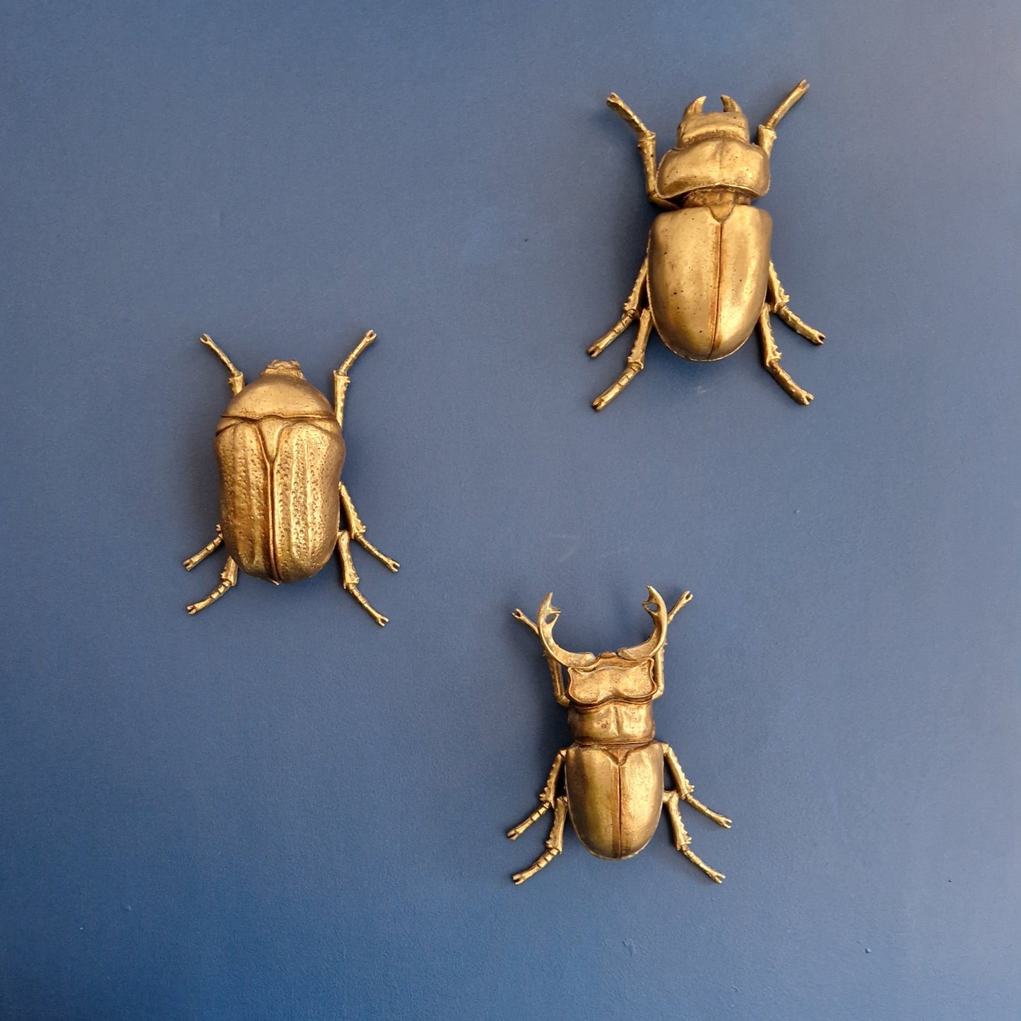 Gold Wall Beetles: Resin Wall Decor - Stag Beetle - Female Stag & Scarab Beetle Art for Home Decor