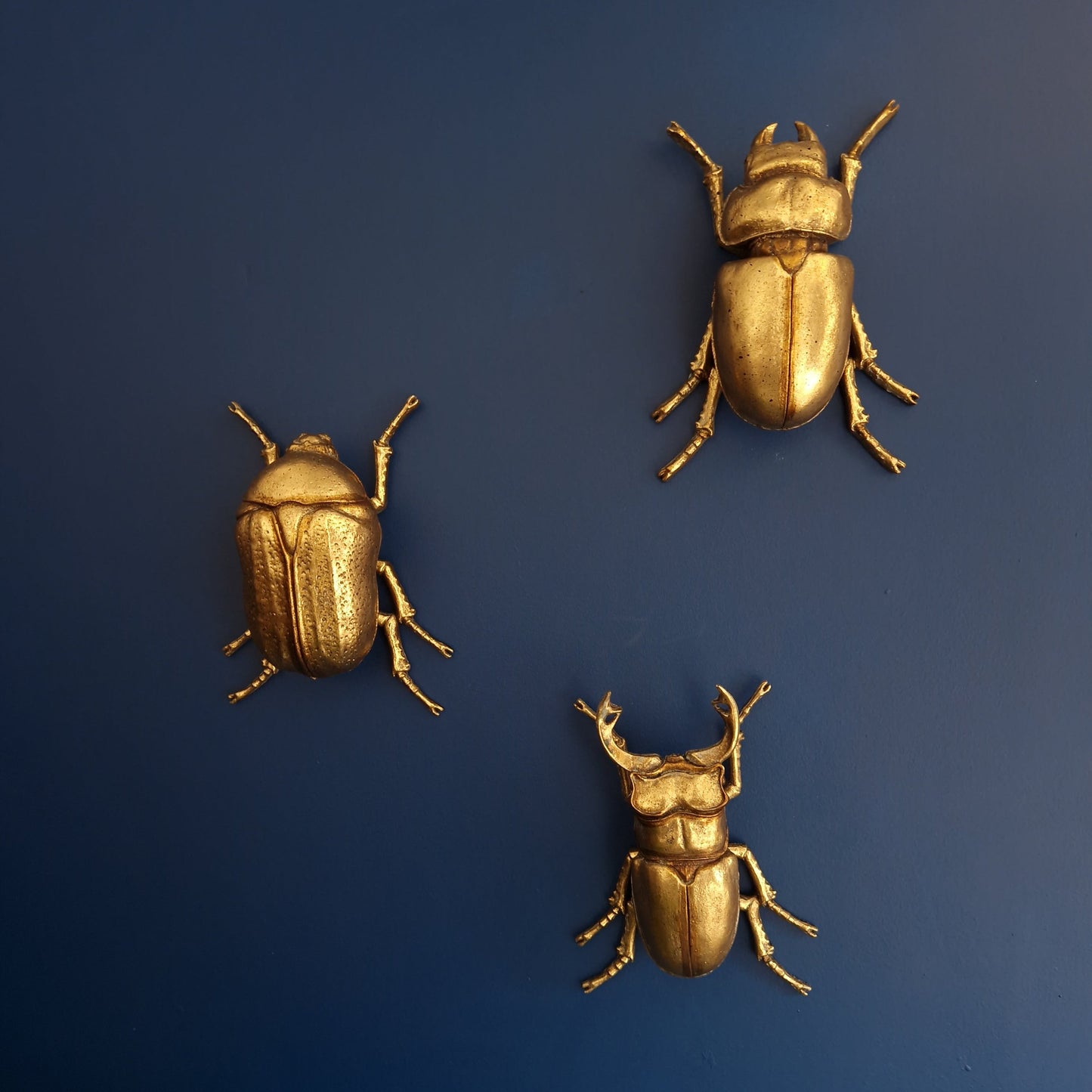 Gold Wall Beetles: Resin Wall Decor - Stag Beetle - Female Stag & Scarab Beetle Art for Home Decor