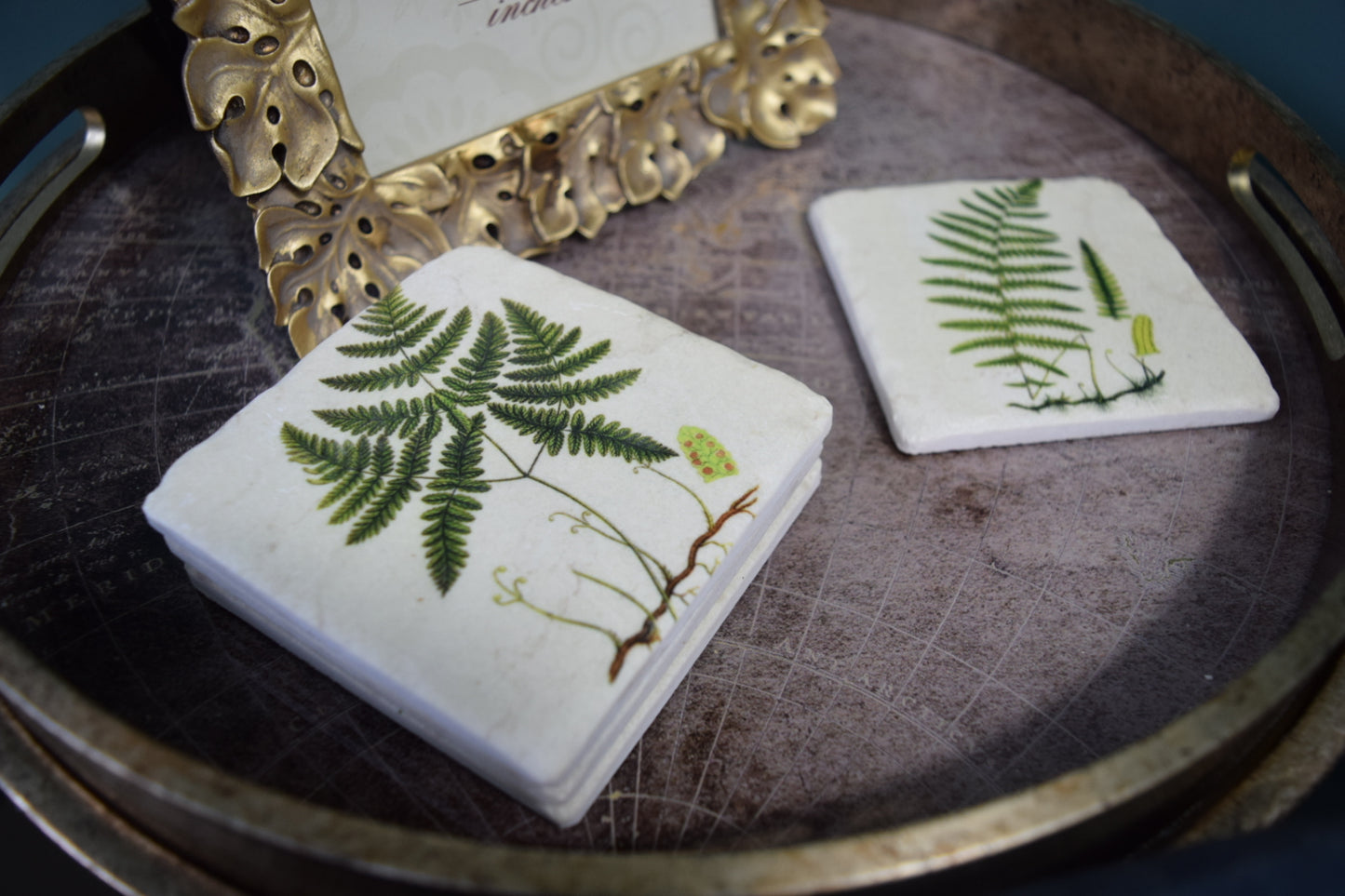 Nature-Inspired Fern Coasters: Set of 4 High Quality Table Protectors - Plant Lover Gift Housewarming Nature Decor - Home Office Desk Decor