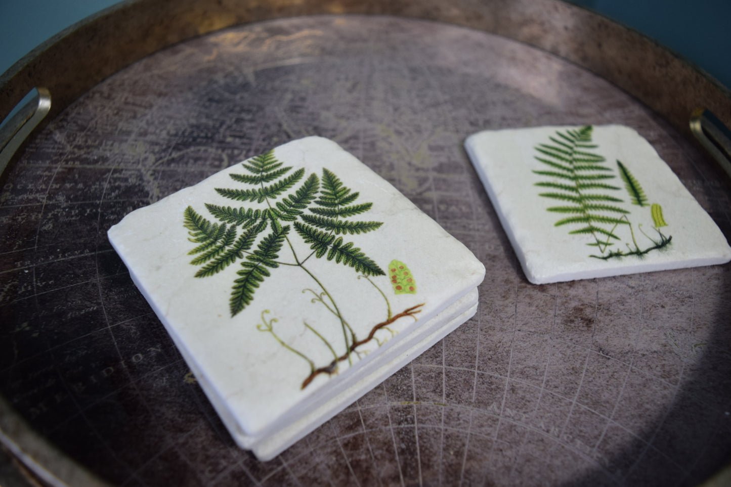 Nature-Inspired Fern Coasters: Set of 4 High Quality Table Protectors - Plant Lover Gift Housewarming Nature Decor - Home Office Desk Decor