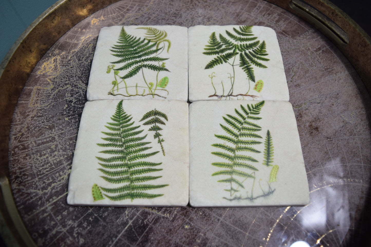 Nature-Inspired Fern Coasters: Set of 4 High Quality Table Protectors - Plant Lover Gift Housewarming Nature Decor - Home Office Desk Decor