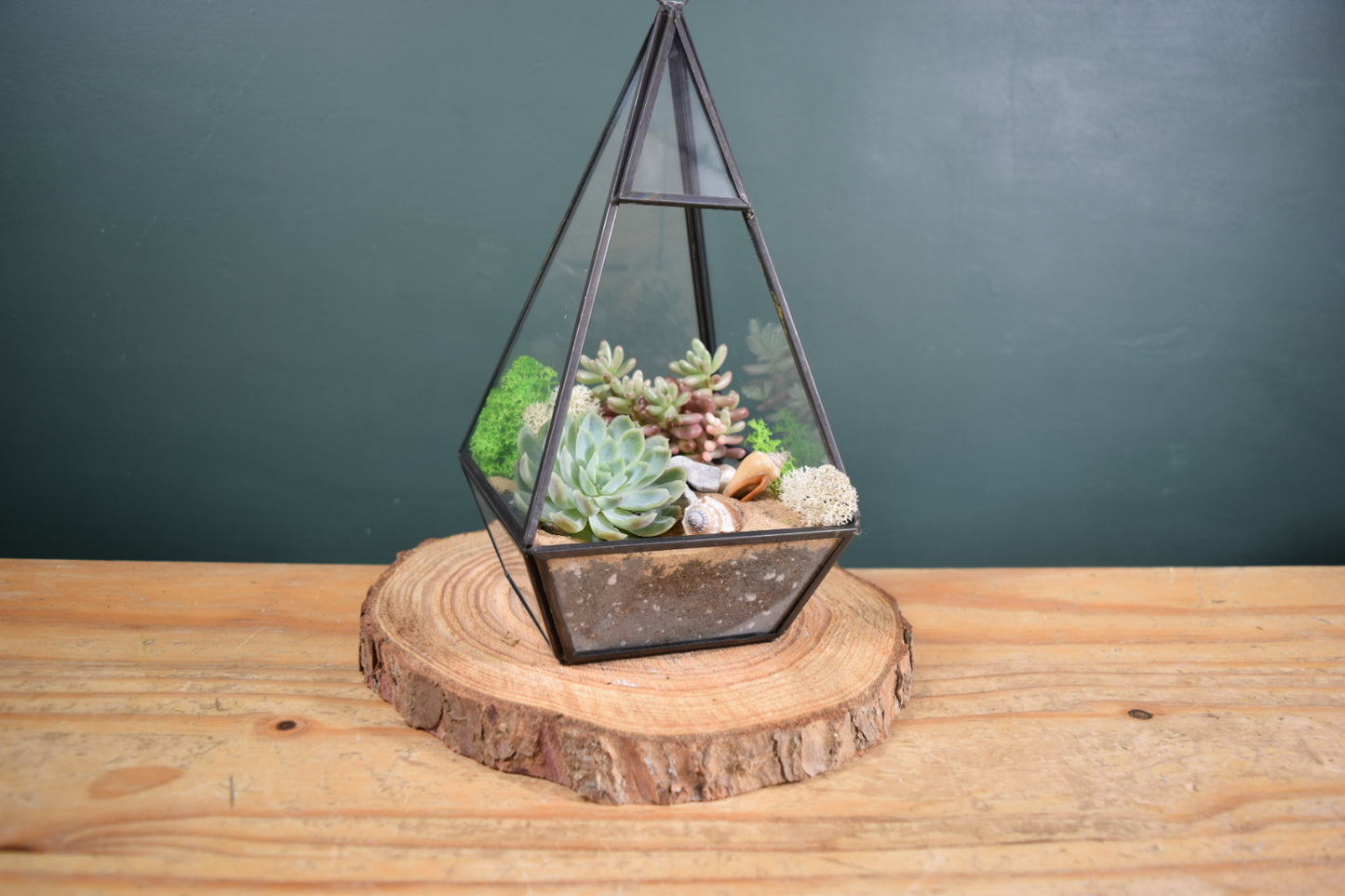 Geometric Terrarium with Plant Succulent or Cactus - Plant Gift