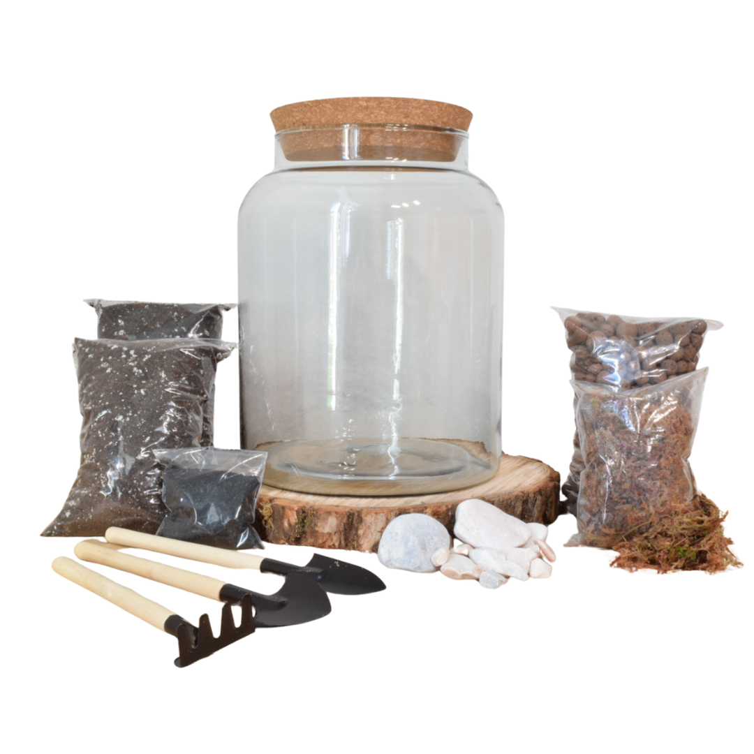 Closed Terrarium Starter Bundle | Large DIY Terrarium Kit + Extra Base Kit